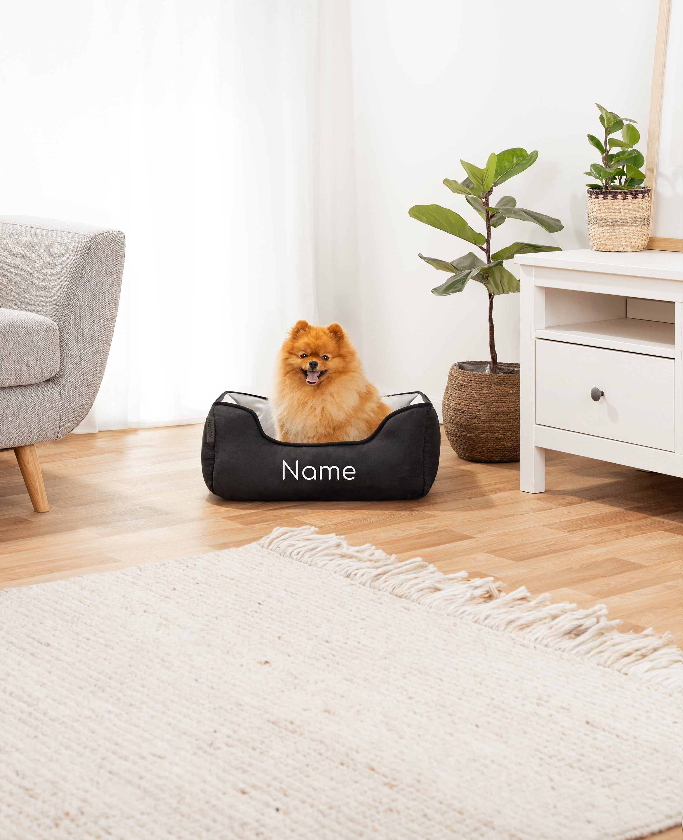 Cama para mascotas 2 en 1, personalizada