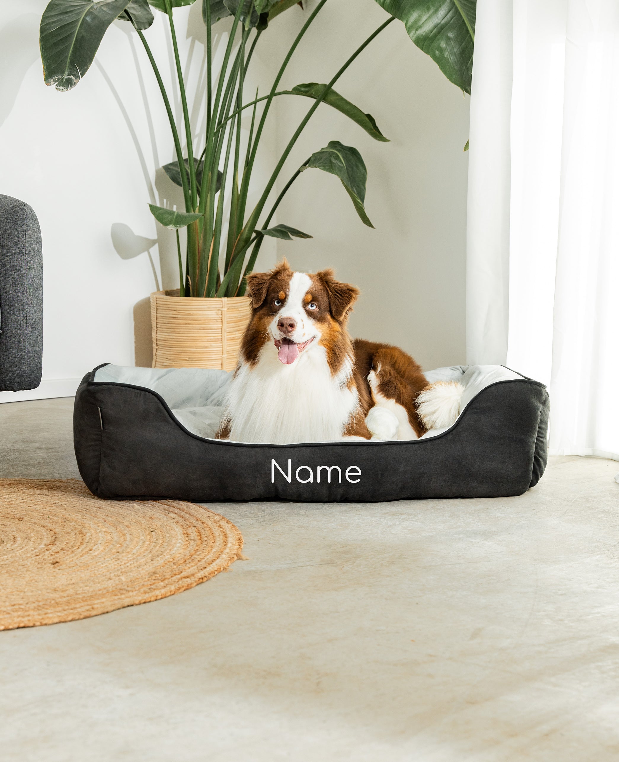 Cama para mascotas 2 en 1, personalizada