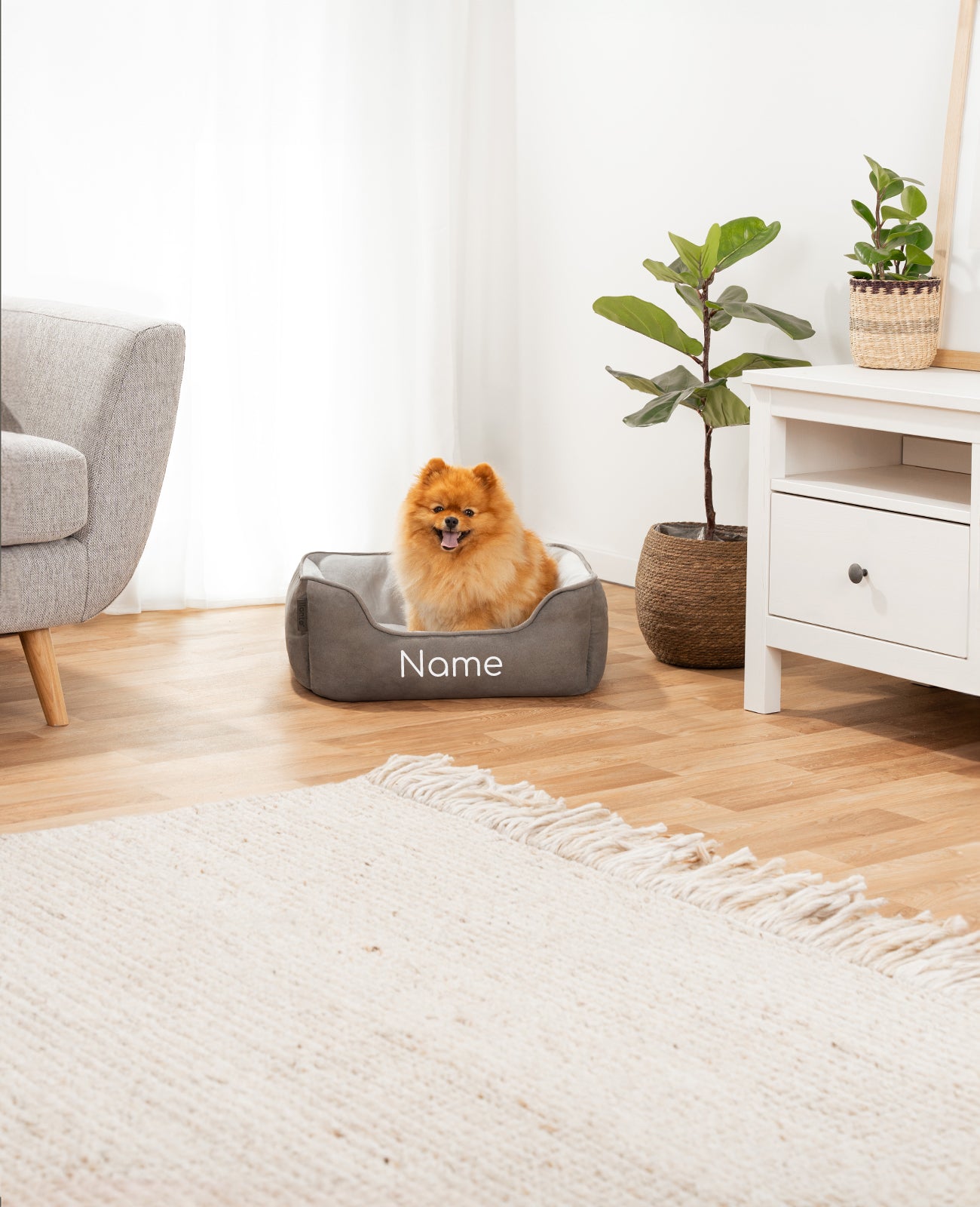 Cama para mascotas 2 en 1, personalizada