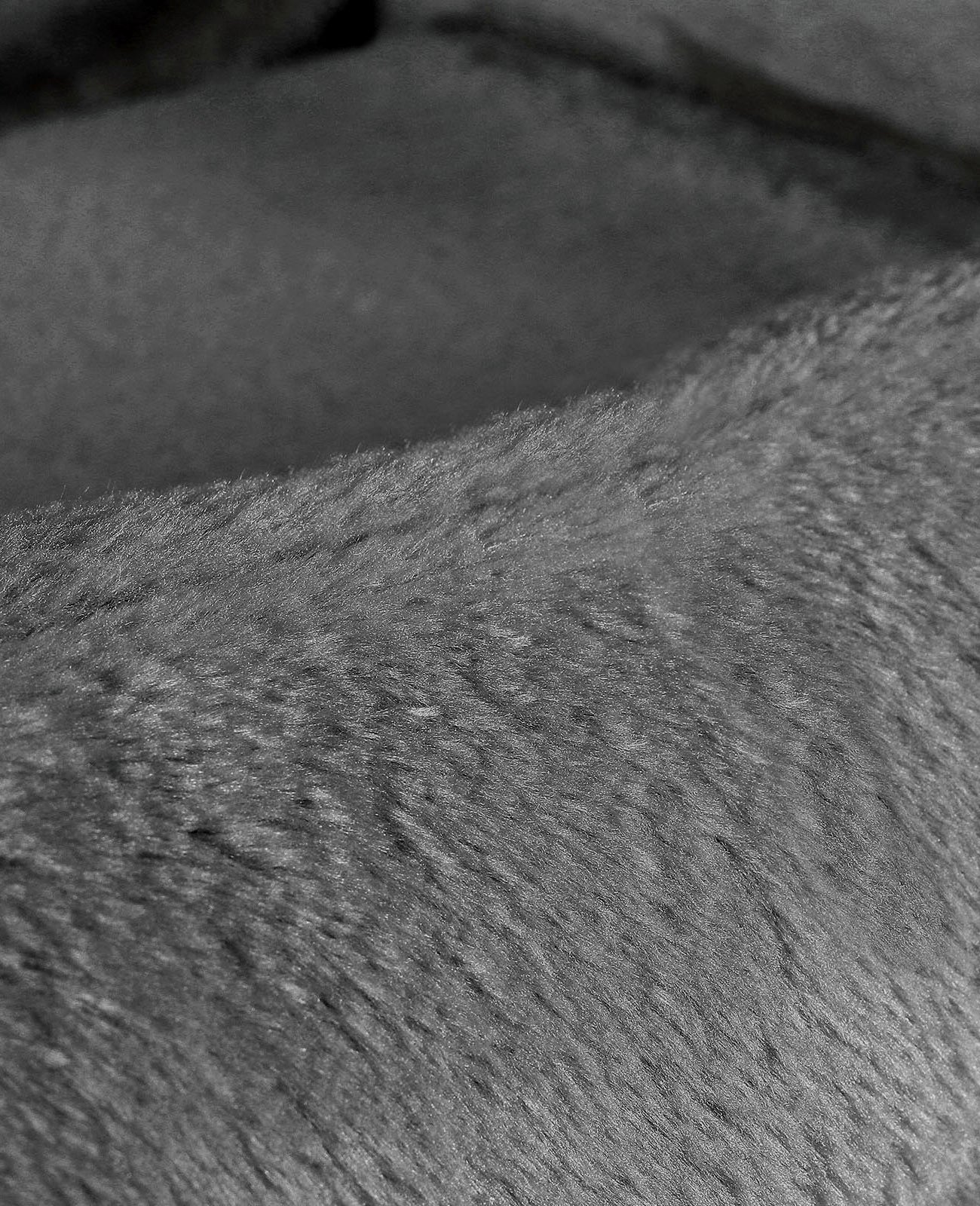 Cama Gatos Radiador