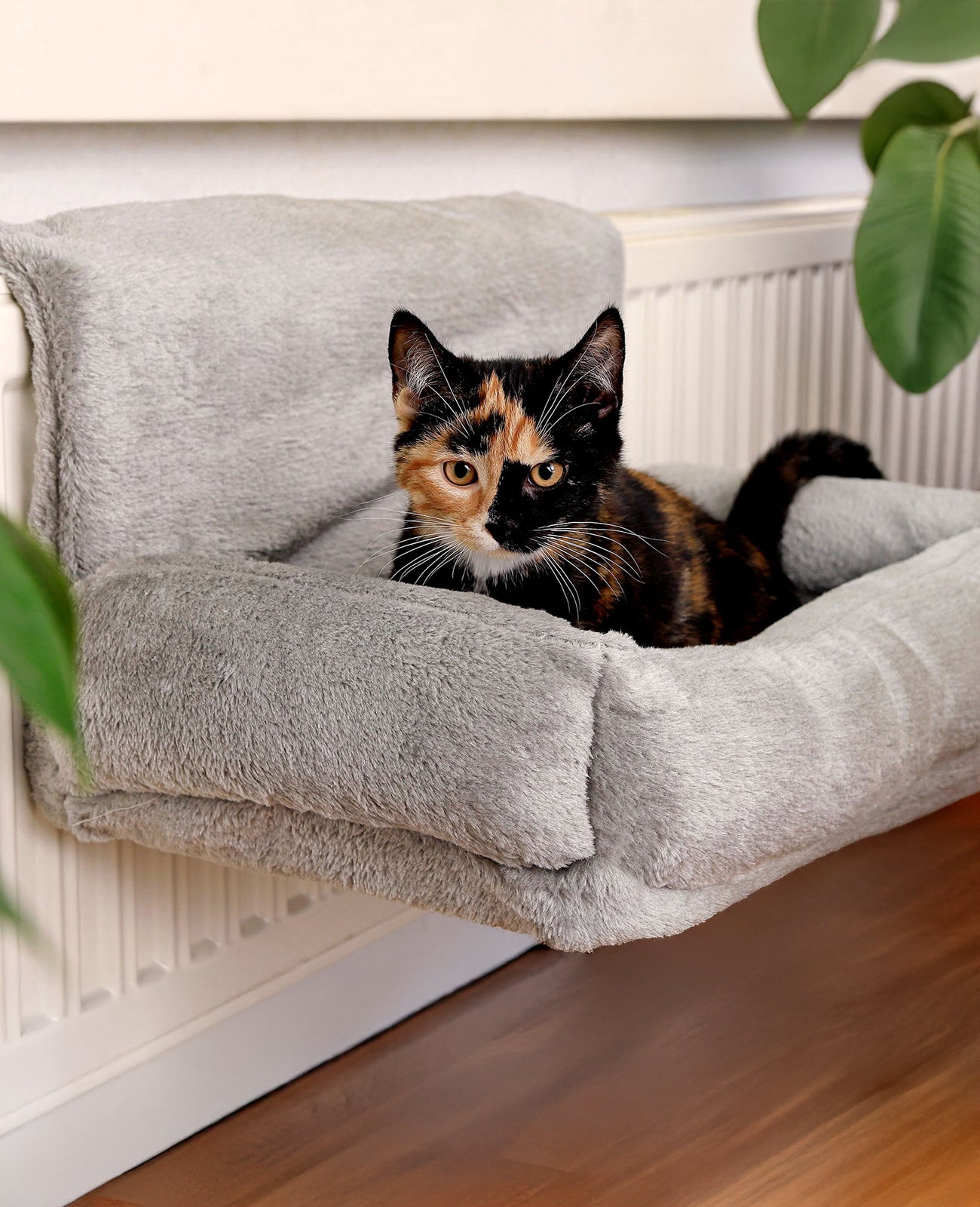 Cama Gatos Radiador