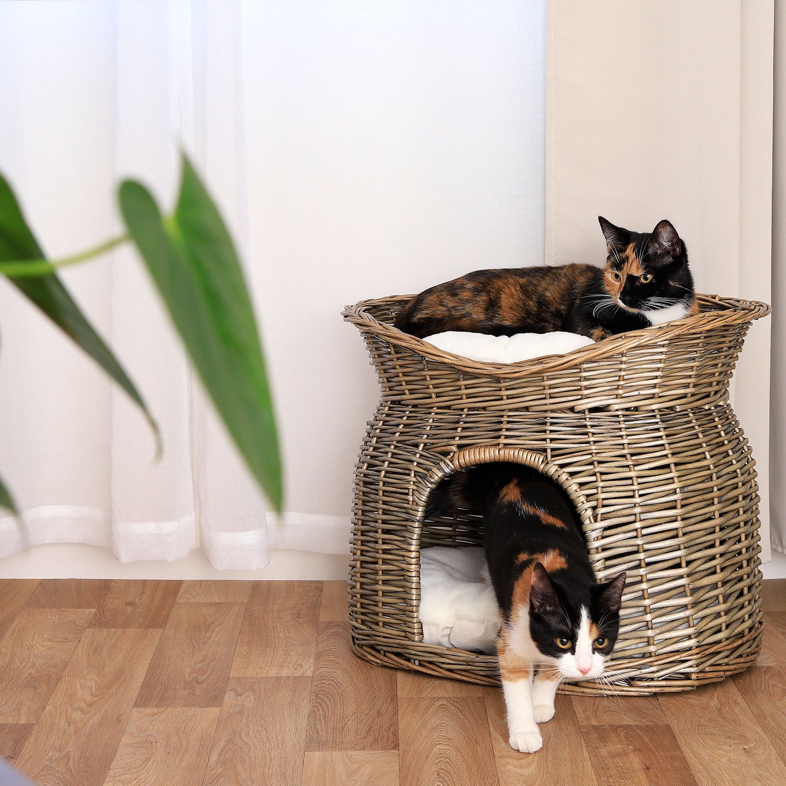Cesta de mimbre para gatos