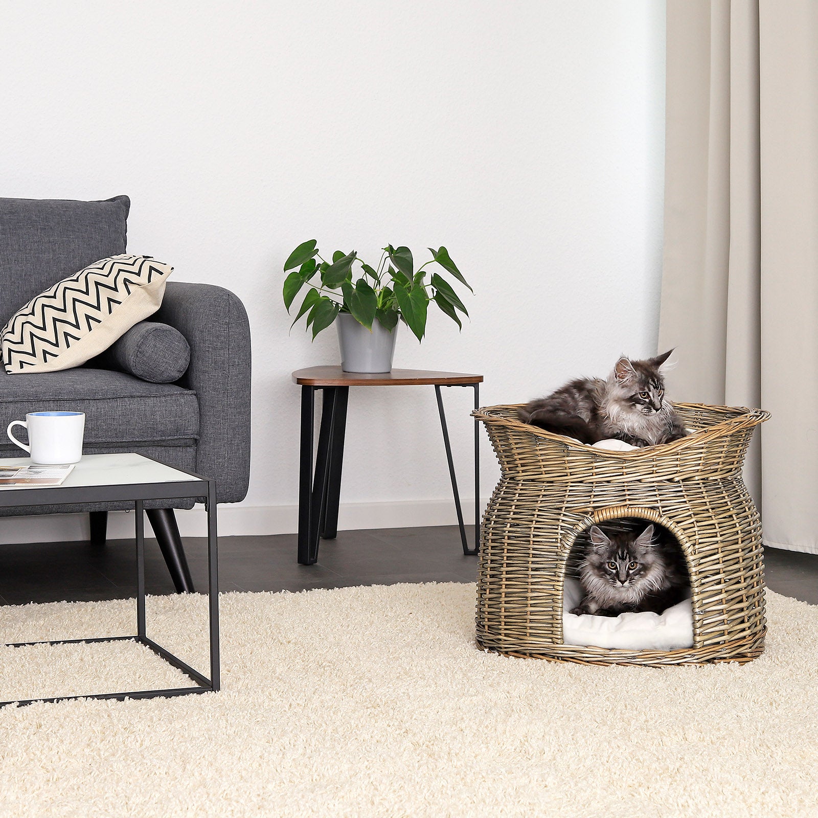 Cesta de mimbre para gatos