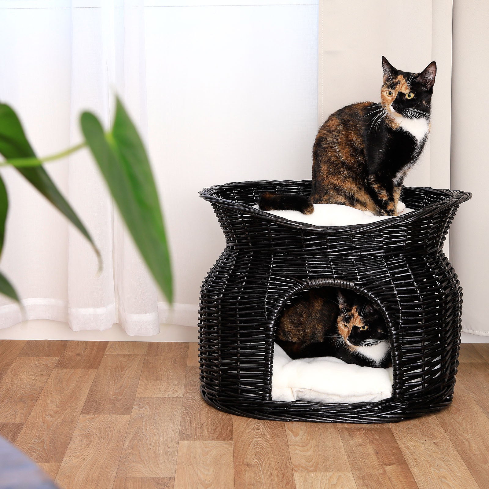 Cesta de mimbre para gatos