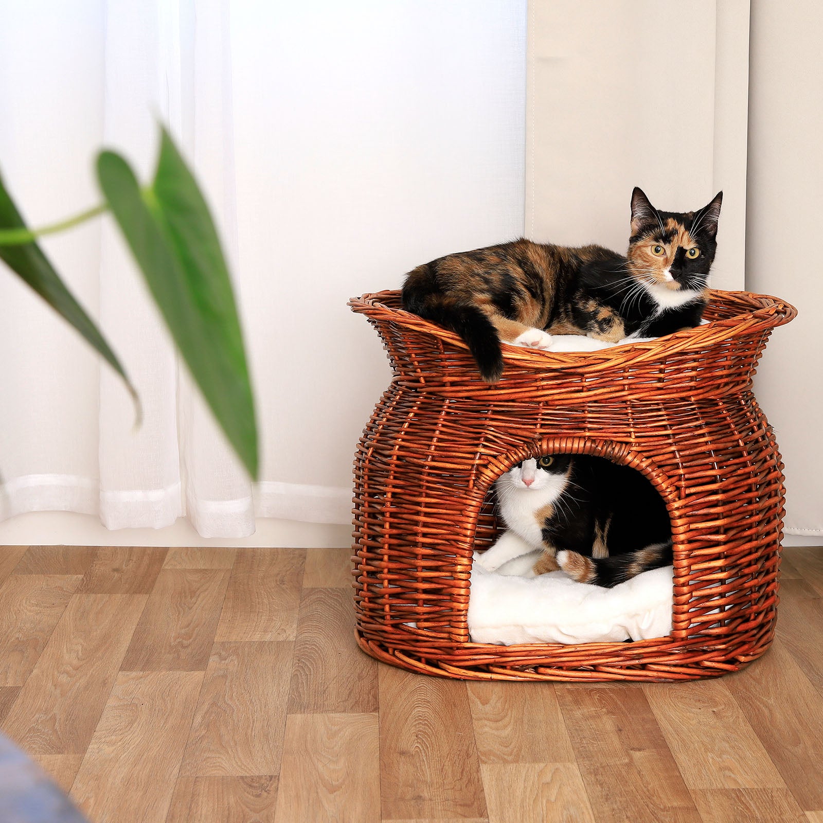 Cesta de mimbre para gatos