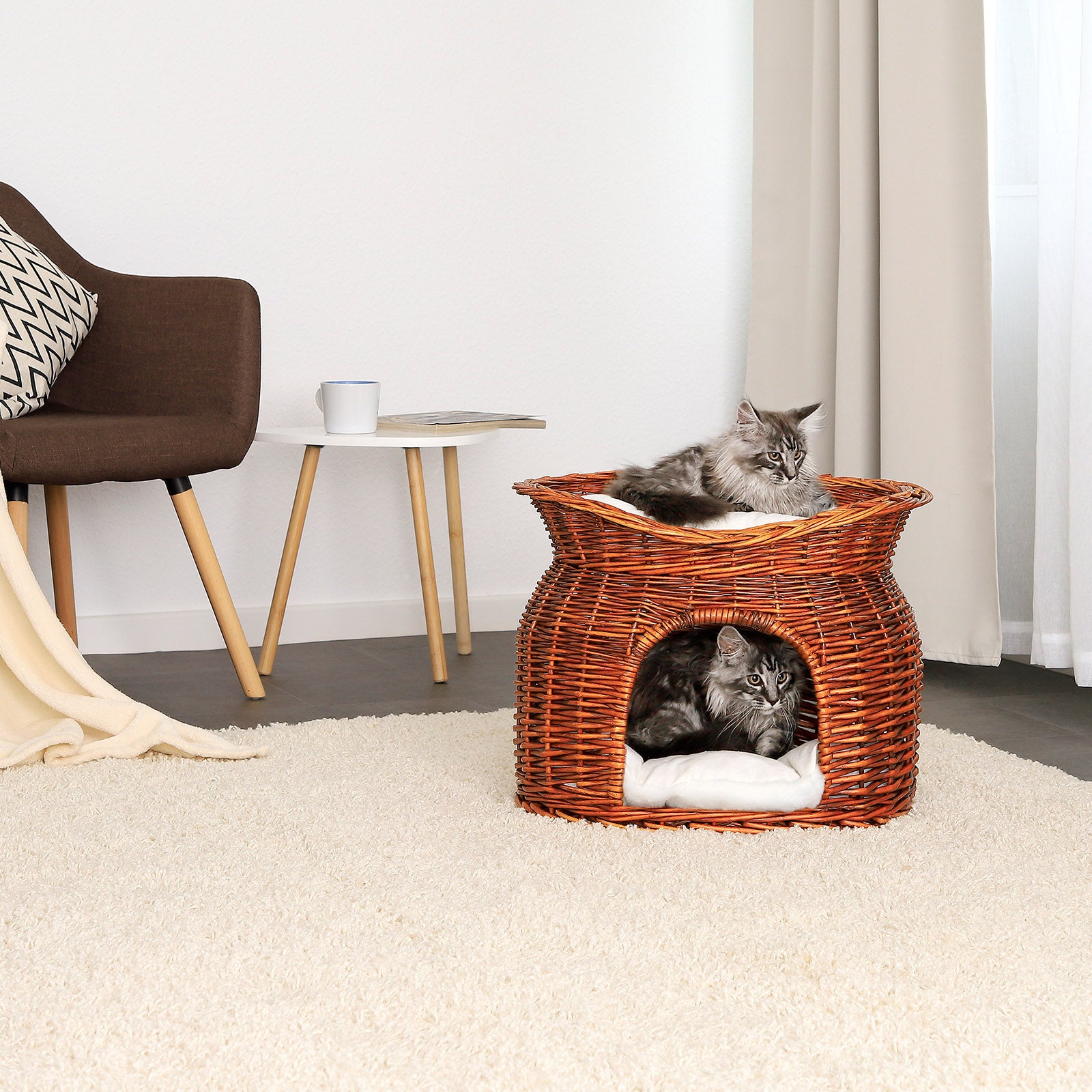 Cesta de mimbre para gatos
