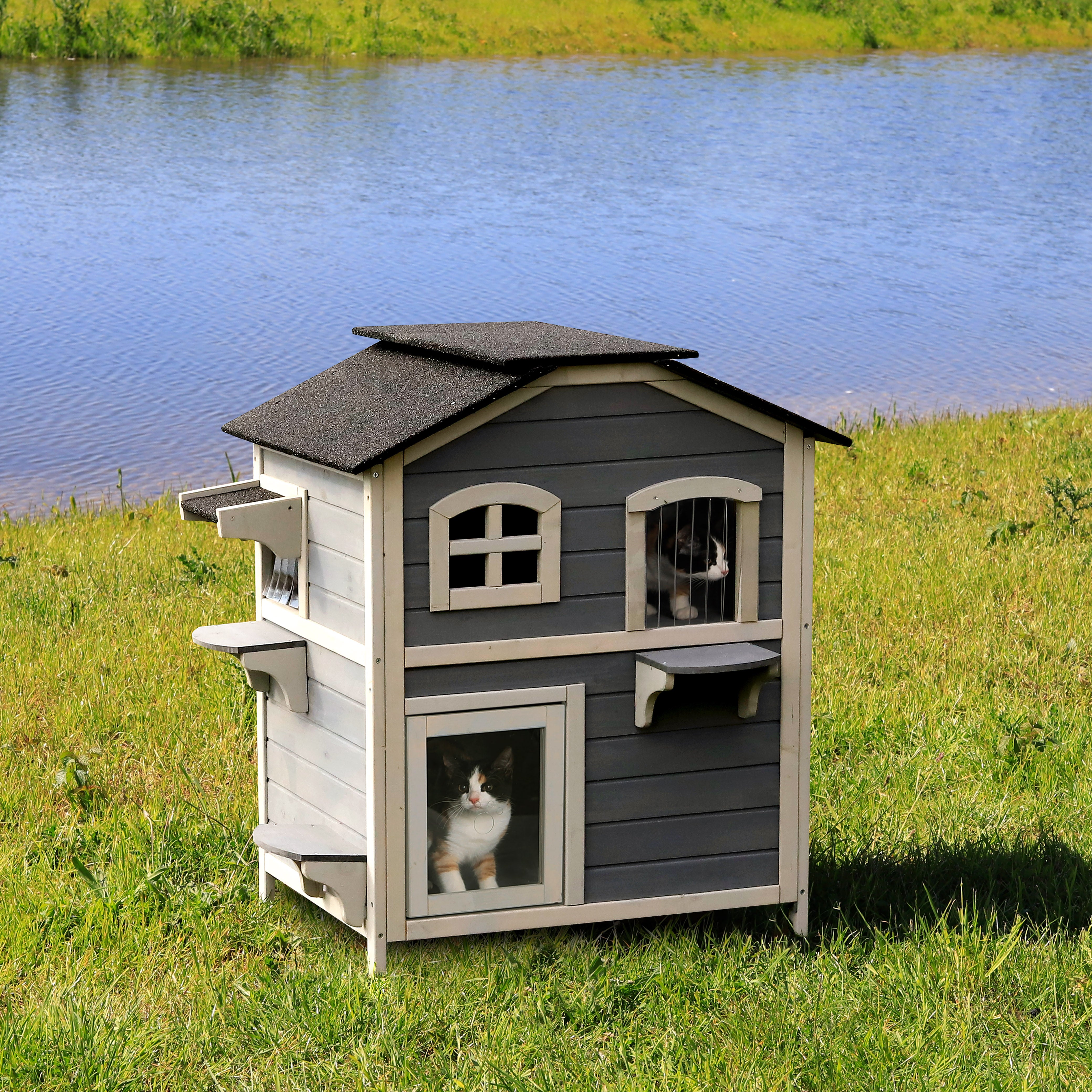 zwei Katzen sitzen im Katzenhaus auf Wiese am See