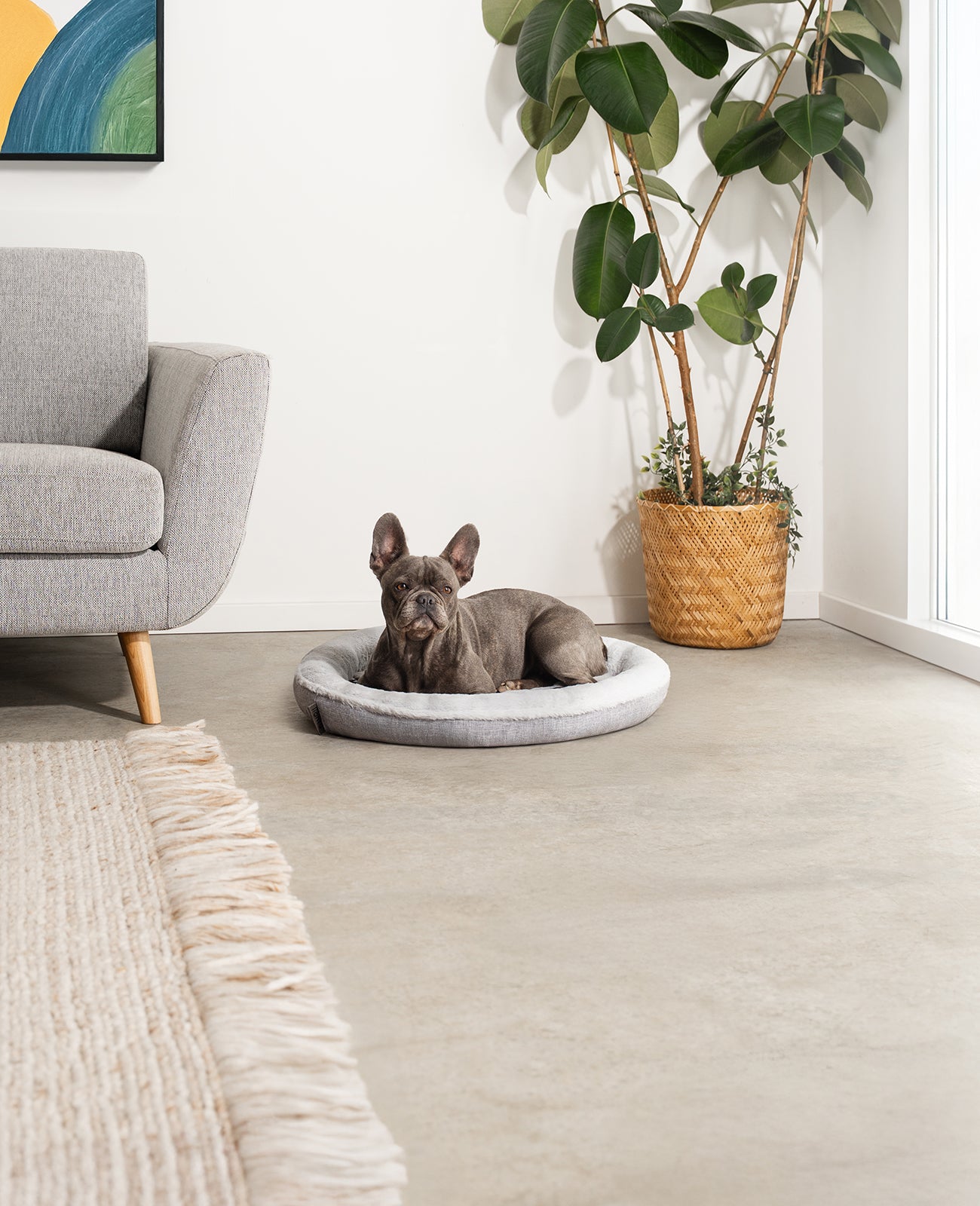 Cama para perros redonda con forma de donut