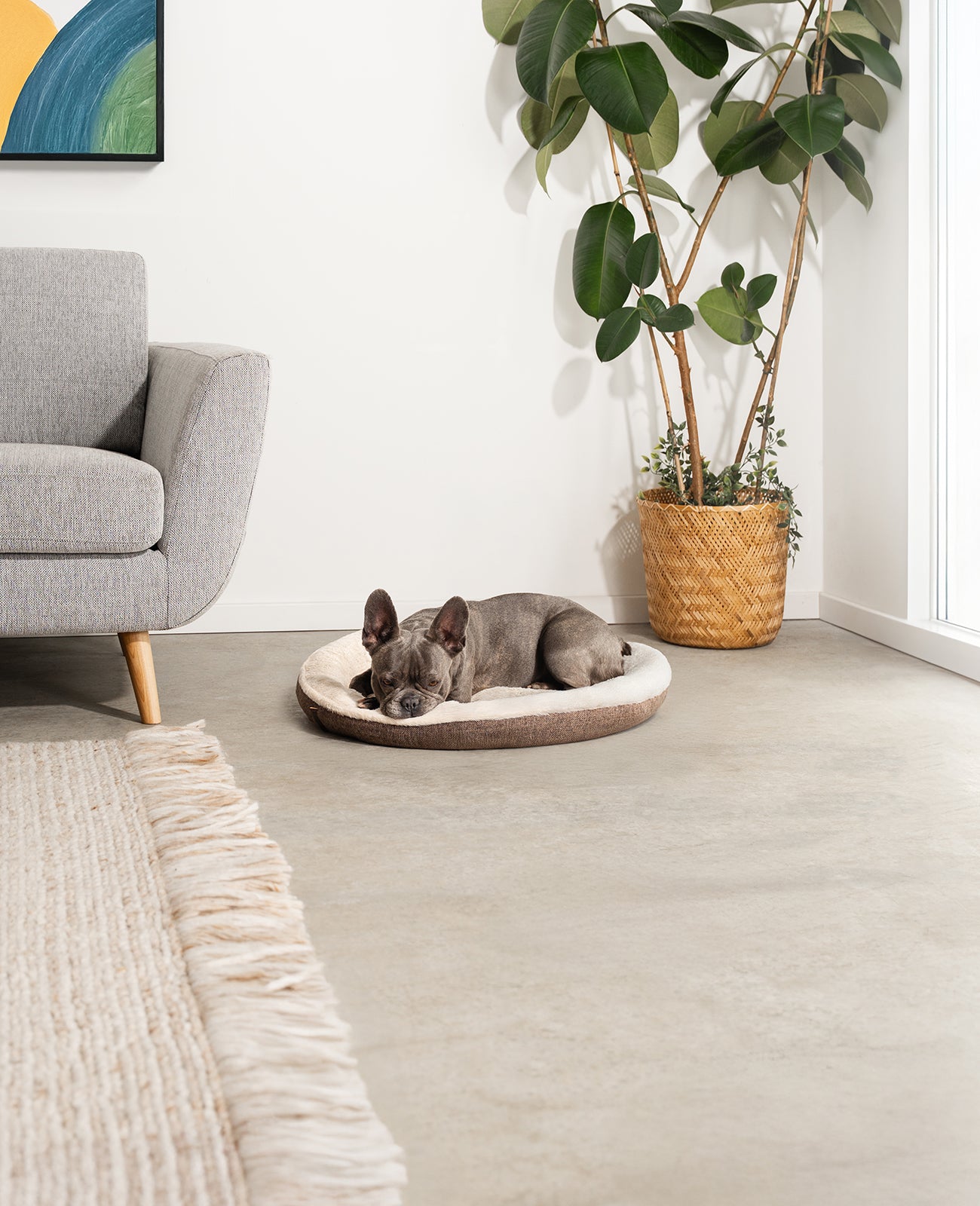 Cama para perros redonda con forma de donut