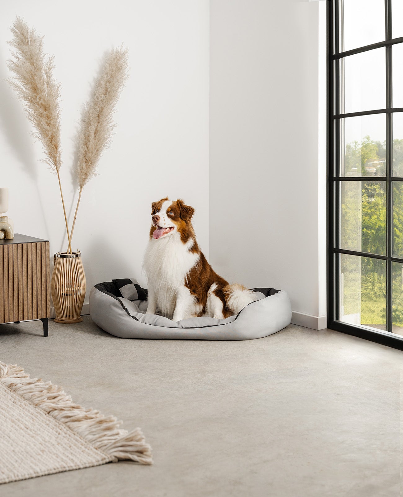 Cama para perros 4 en 1 con cojín reversible