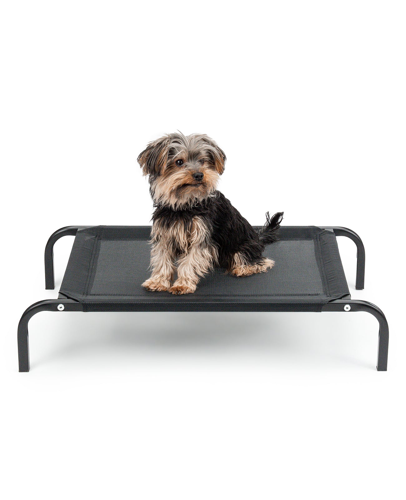 Tumbona elevada para perros para casa y jardín