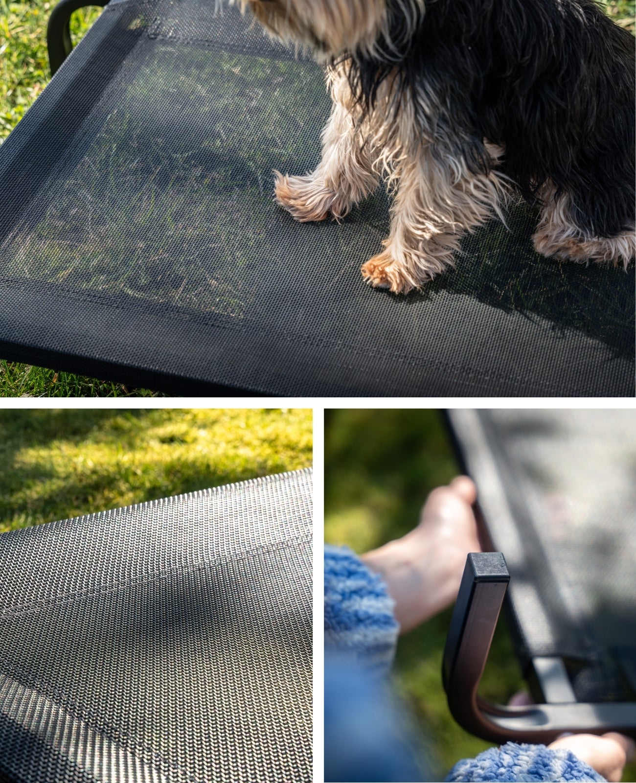 Tumbona elevada para perros para casa y jardín