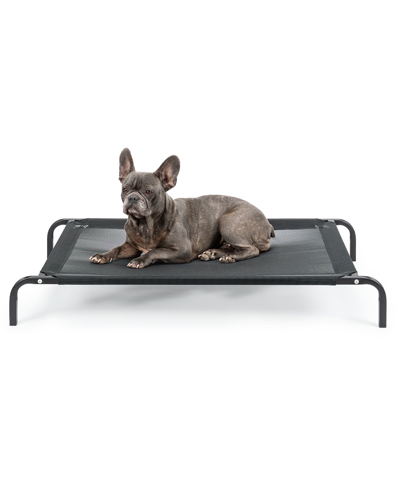 Tumbona elevada para perros para casa y jardín