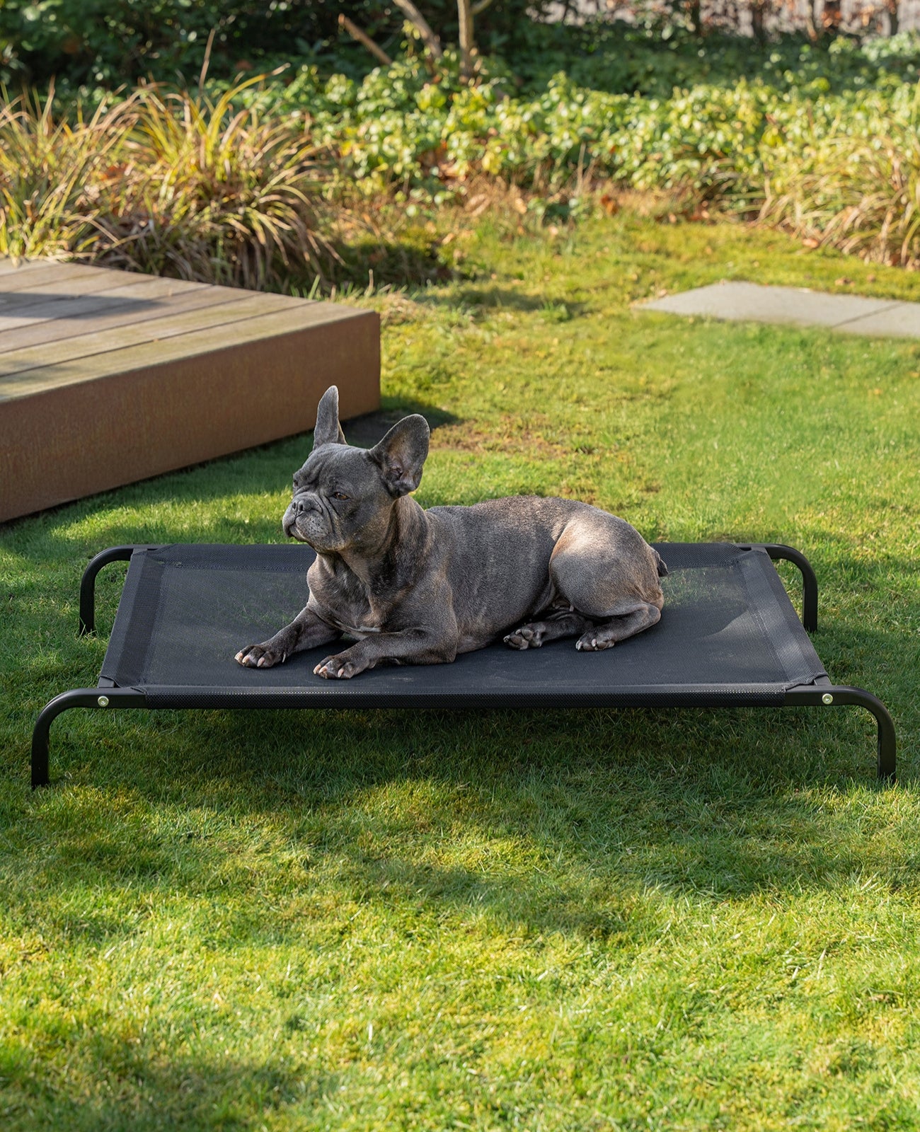 Tumbona elevada para perros para casa y jardín