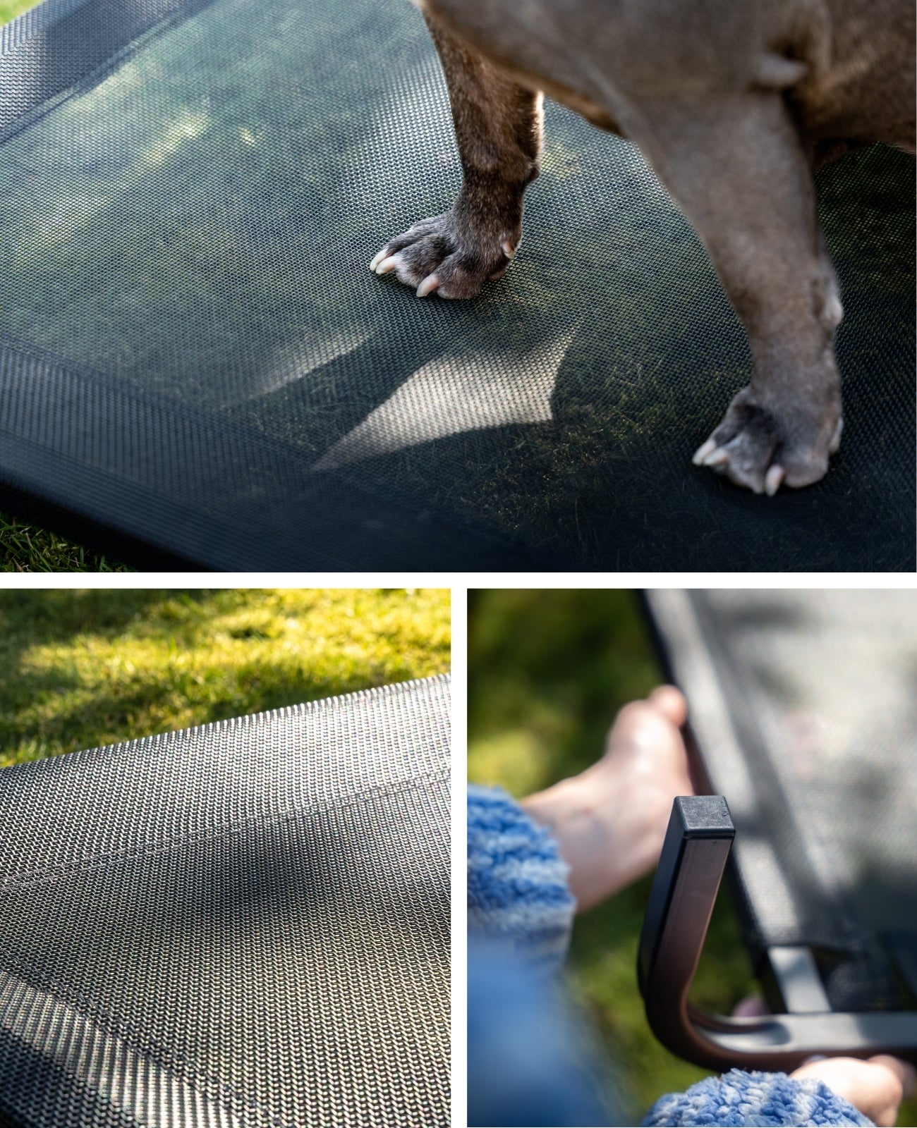 Tumbona elevada para perros para casa y jardín