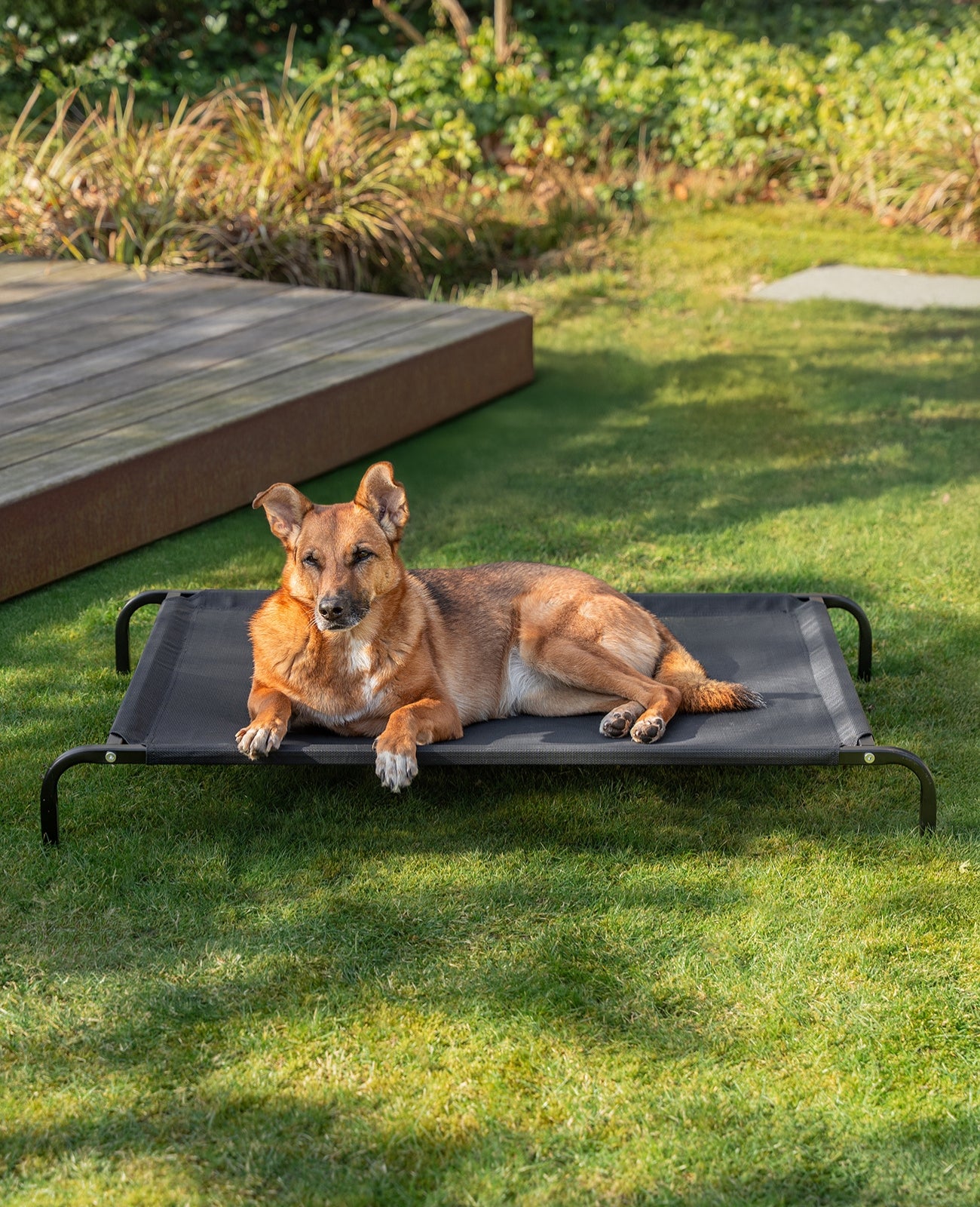 Tumbona elevada para perros para casa y jardín