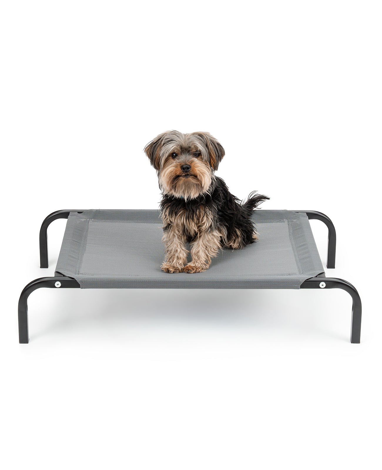 Tumbona elevada para perros para casa y jardín