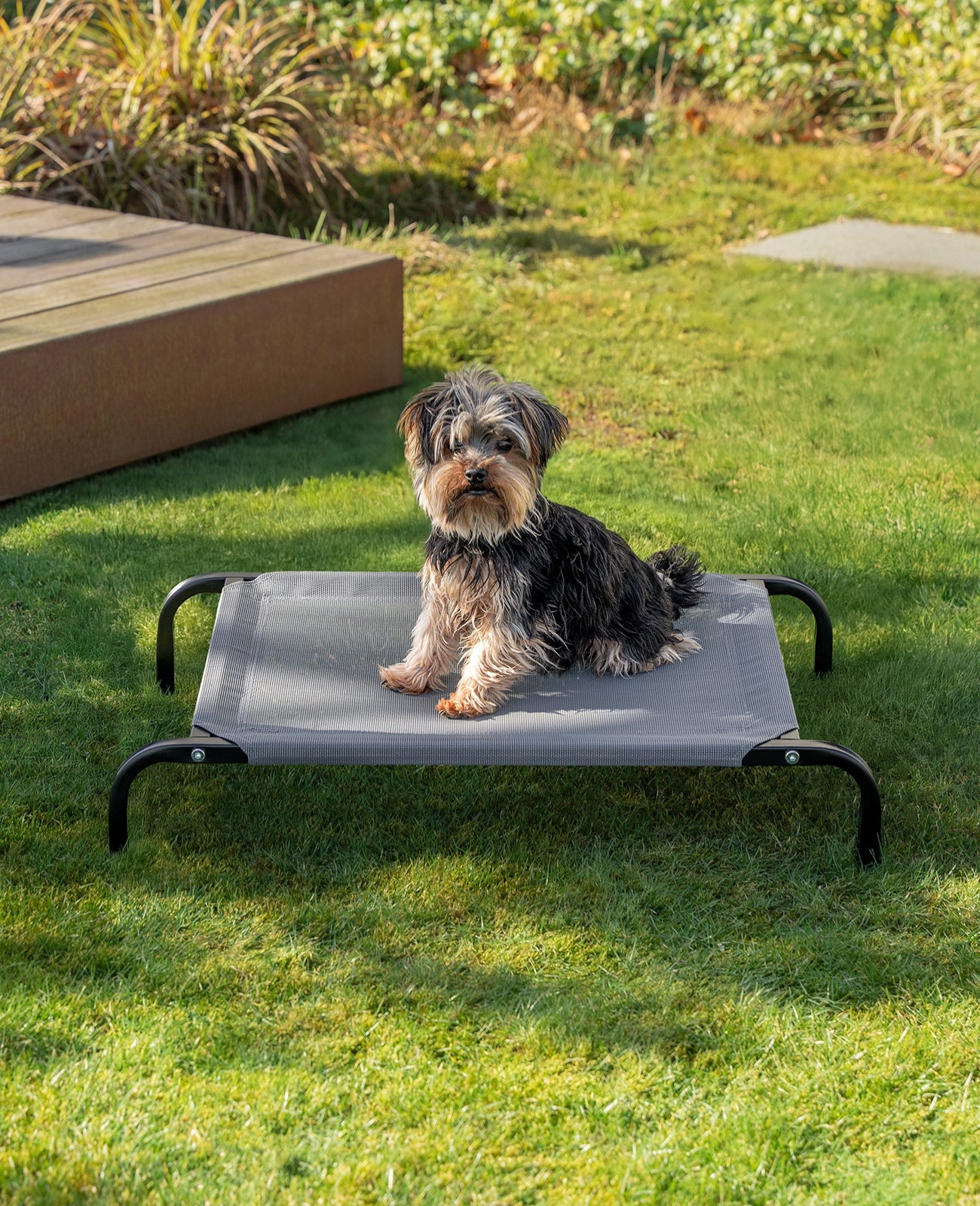 Tumbona elevada para perros para casa y jardín