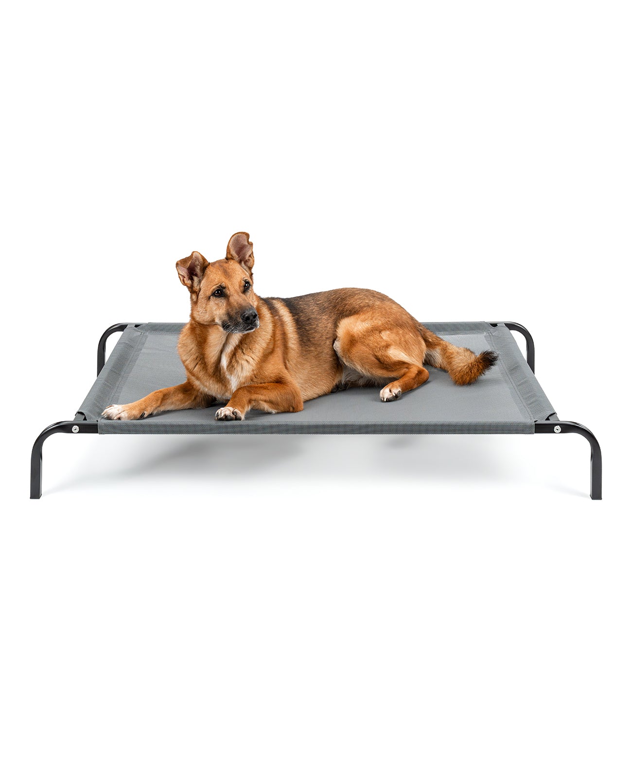 Tumbona elevada para perros para casa y jardín