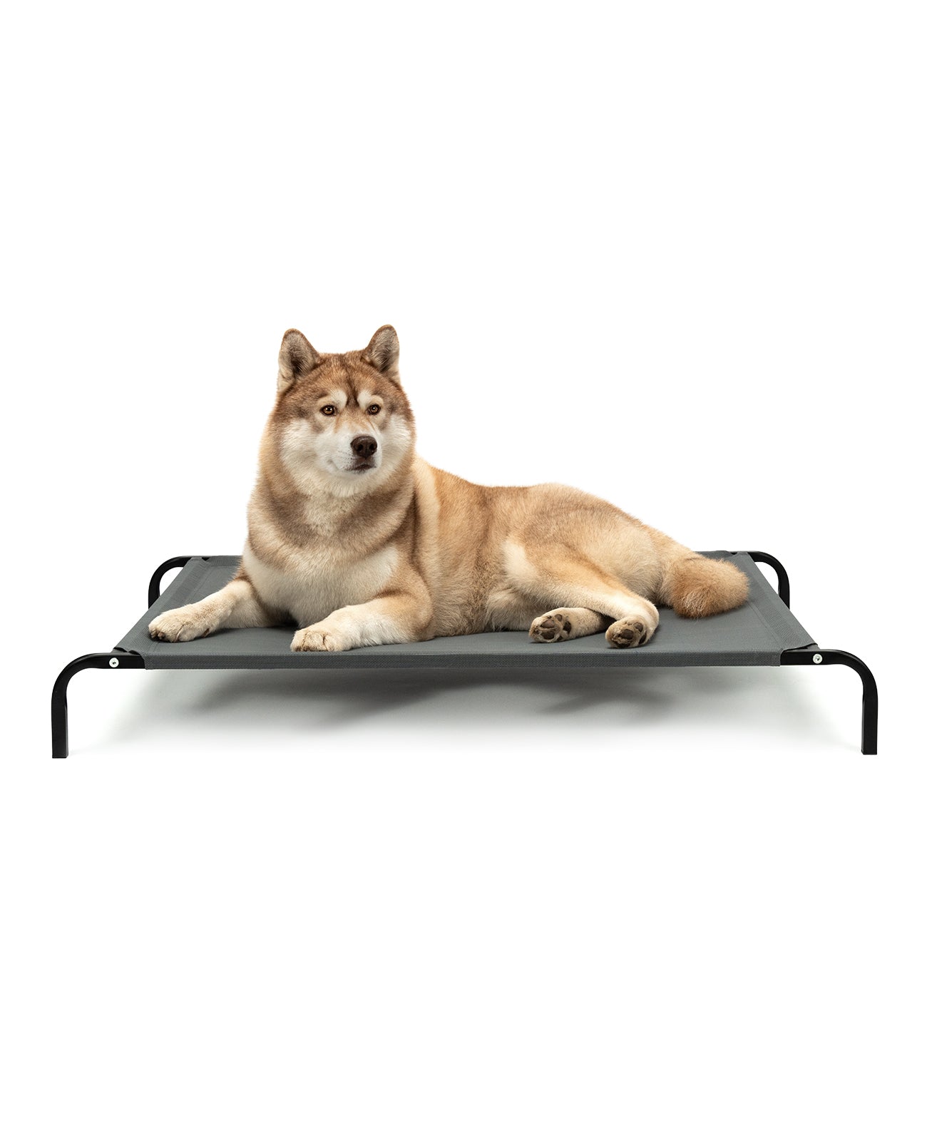 Tumbona elevada para perros para casa y jardín