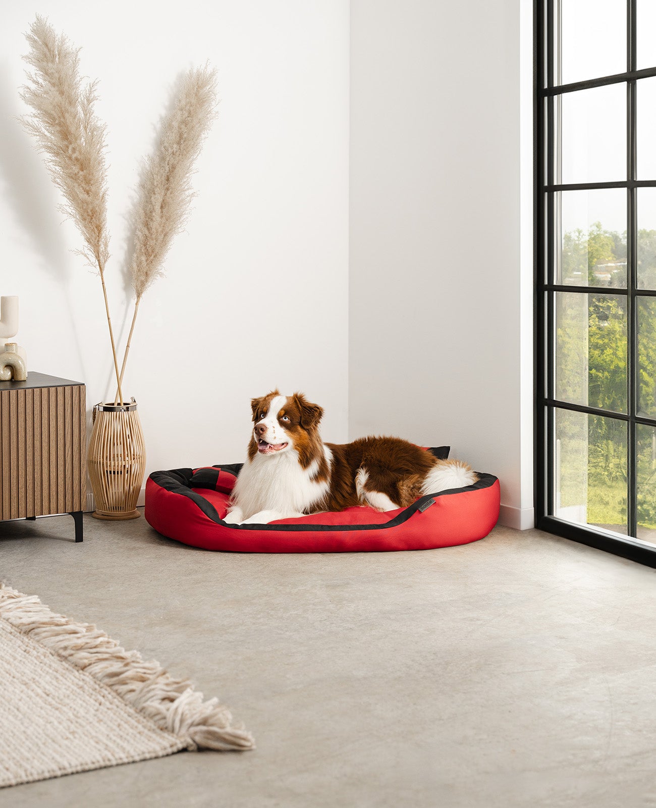 Cama para perros 4 en 1 con cojín reversible
