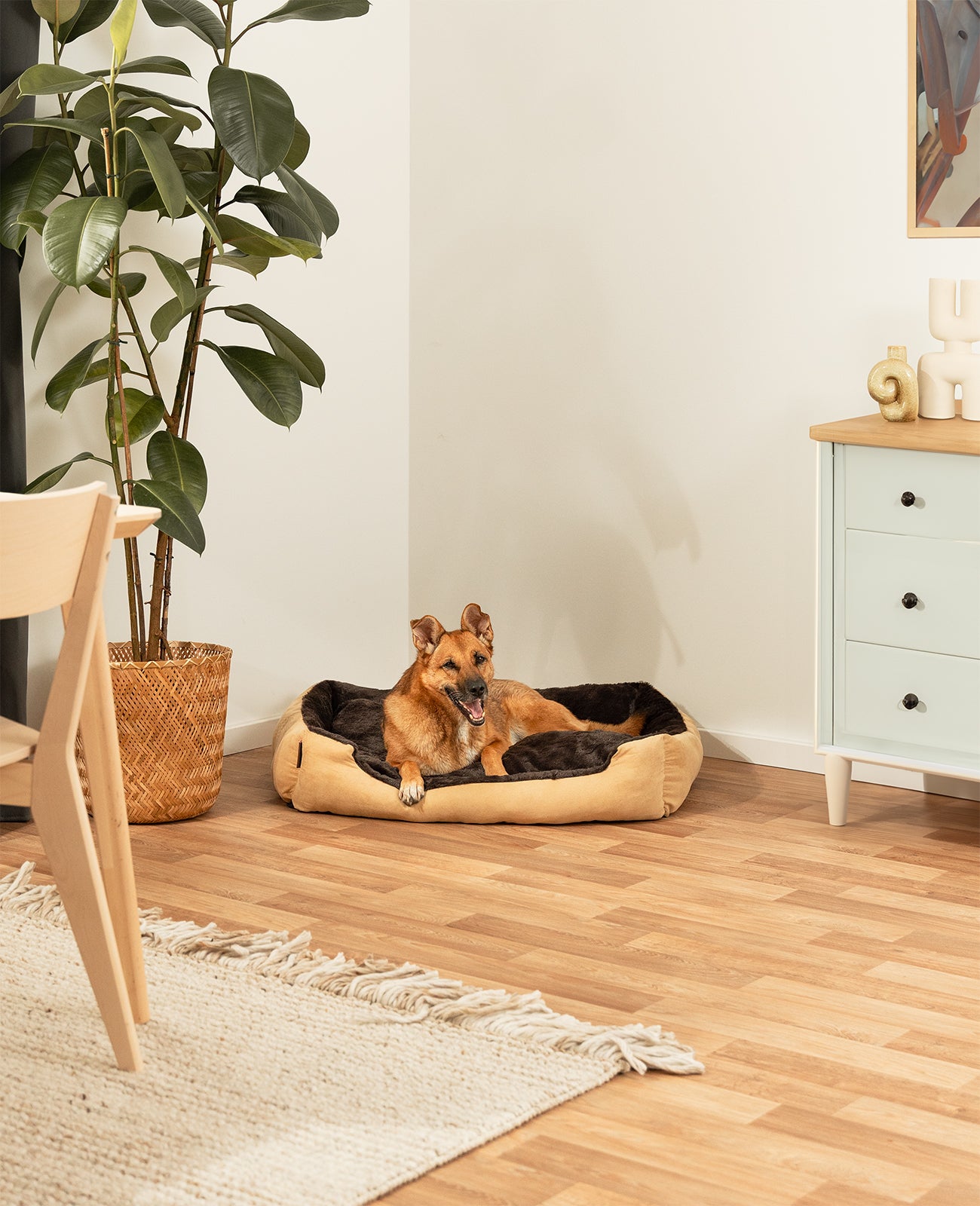 Cama para perros con cojín reversible