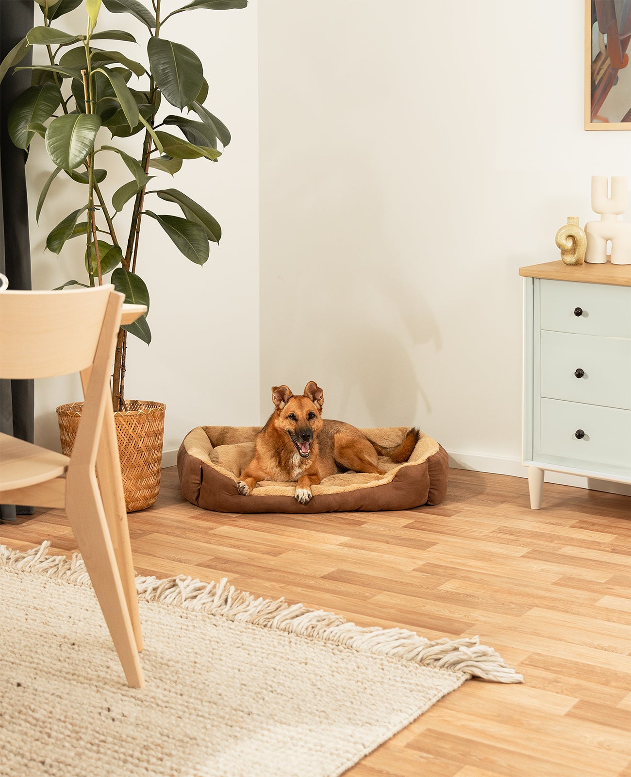 Cama para perros con cojín reversible