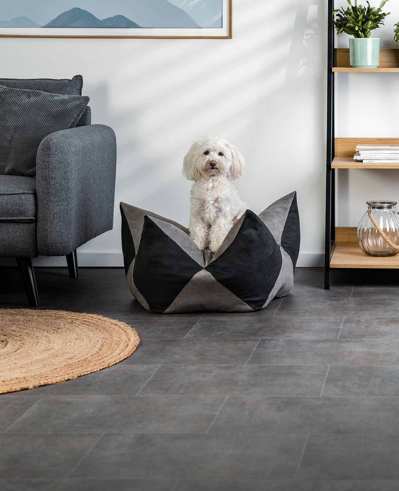 Almohada corona para perros