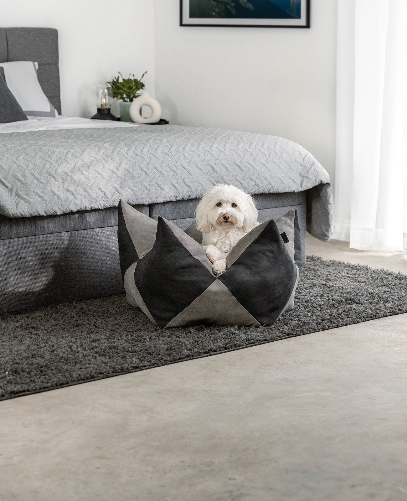 Almohada corona para perros