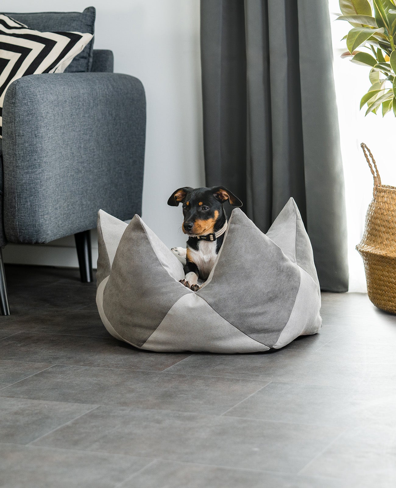 Almohada corona para perros