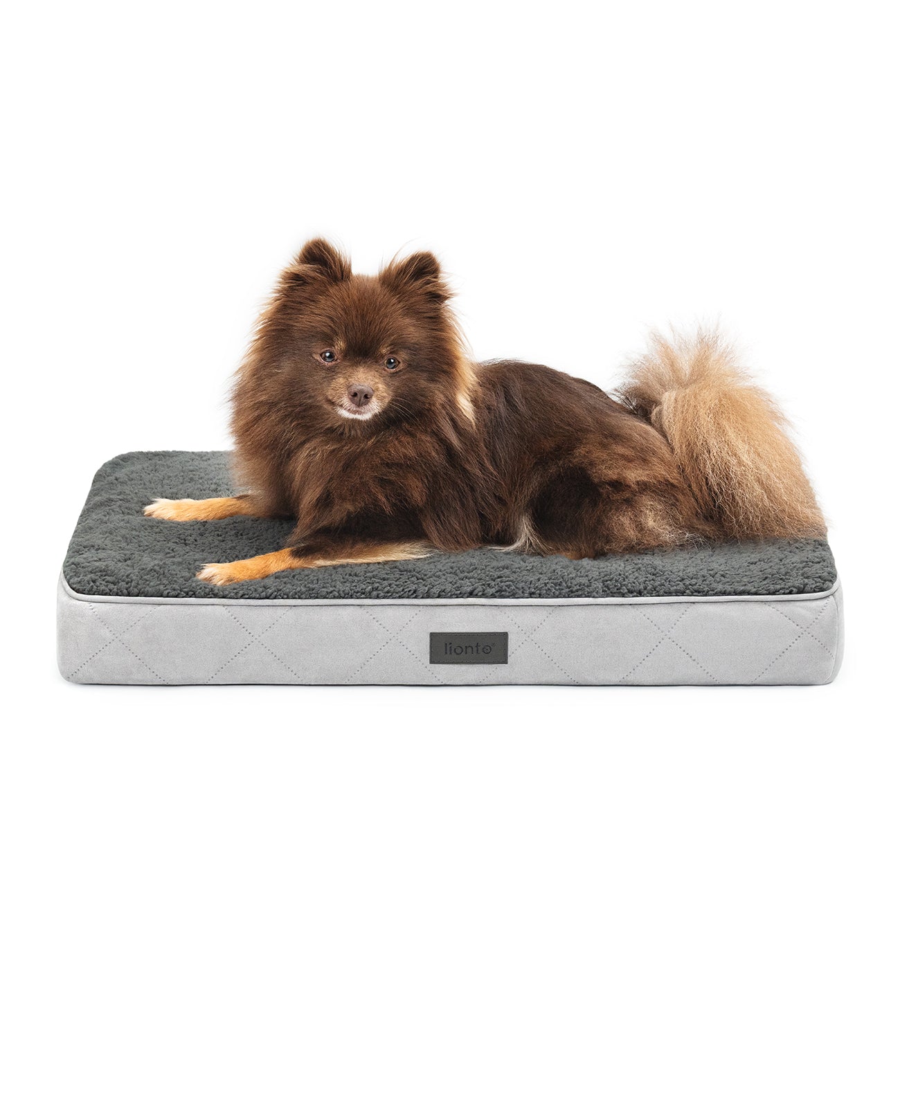 Cama ortopédica para perros