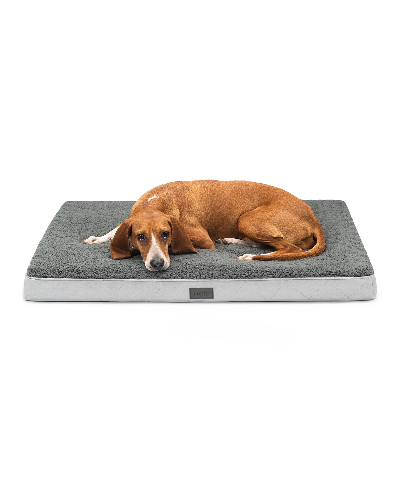 Cama ortopédica para perros