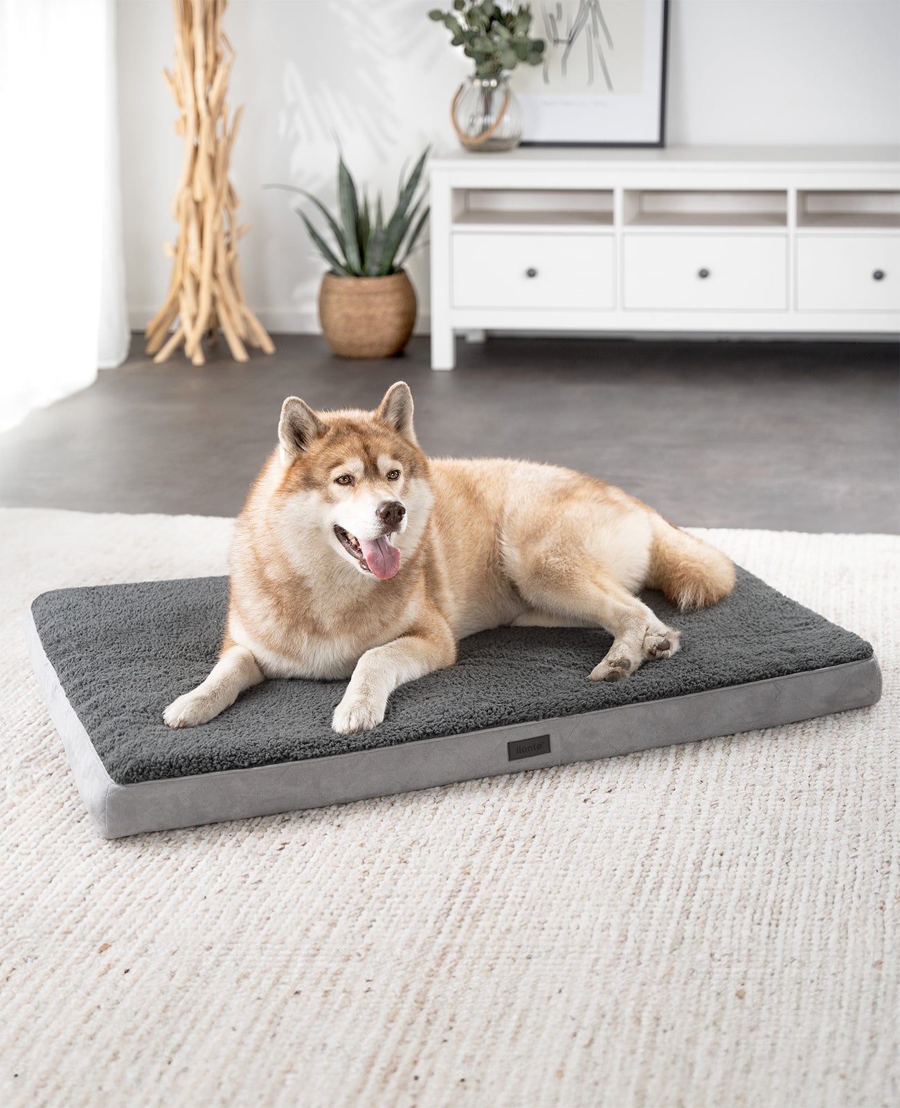 Cama ortopédica para perros
