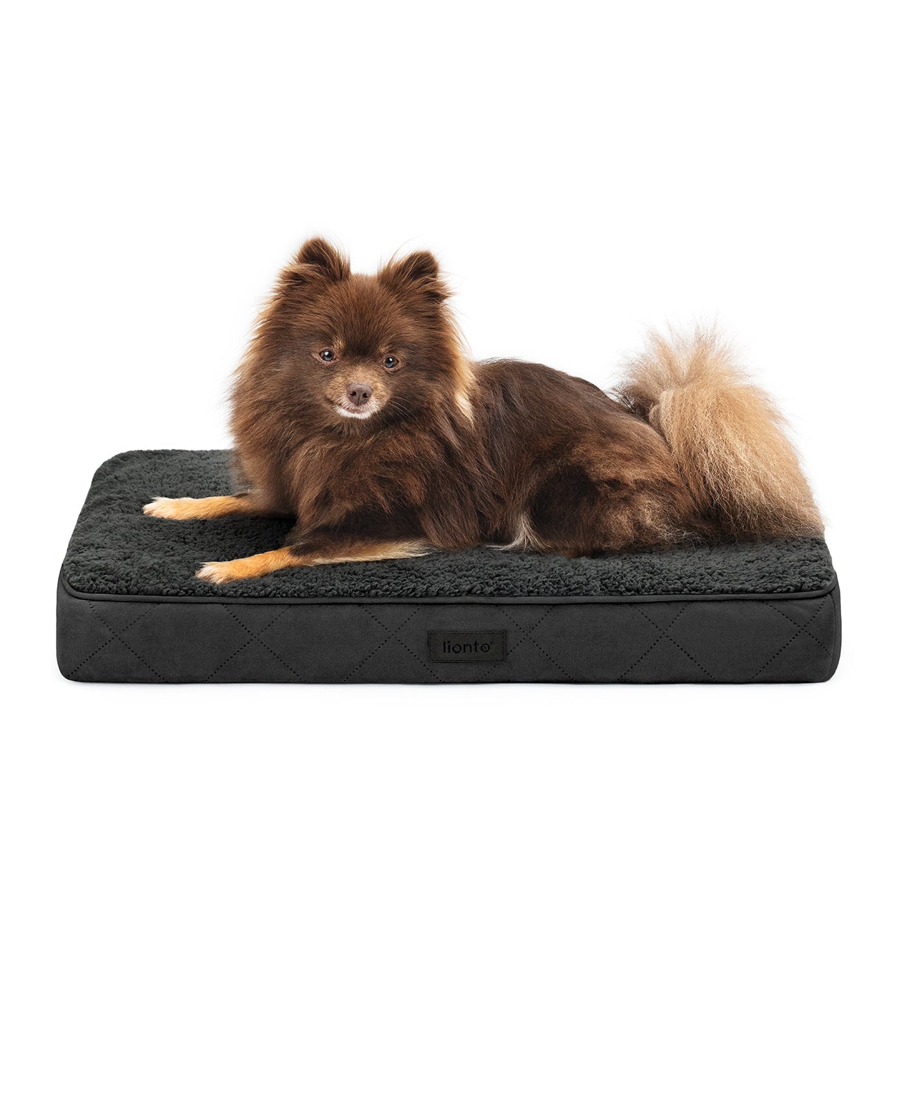 Cama ortopédica para perros