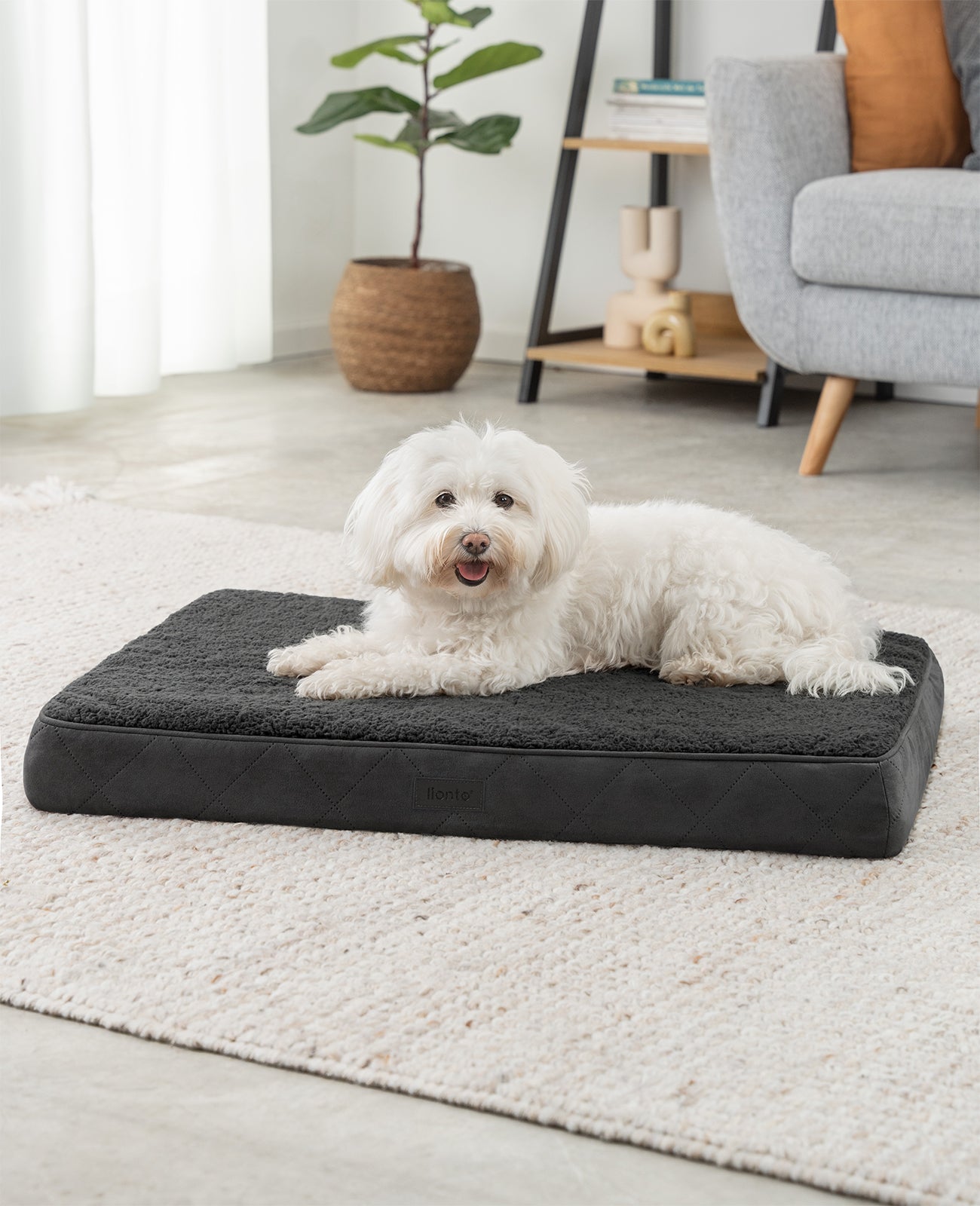 Cama ortopédica para perros
