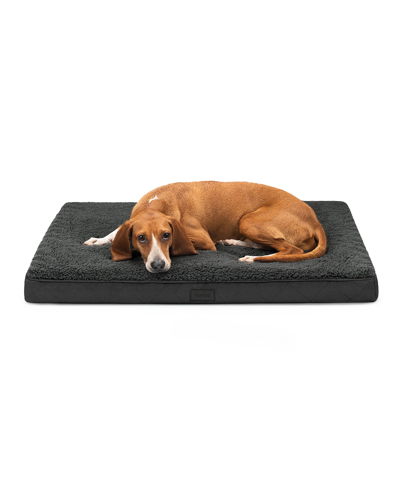 Cama ortopédica para perros