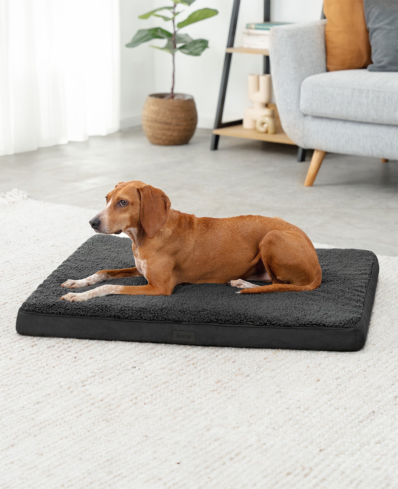Cama ortopédica para perros