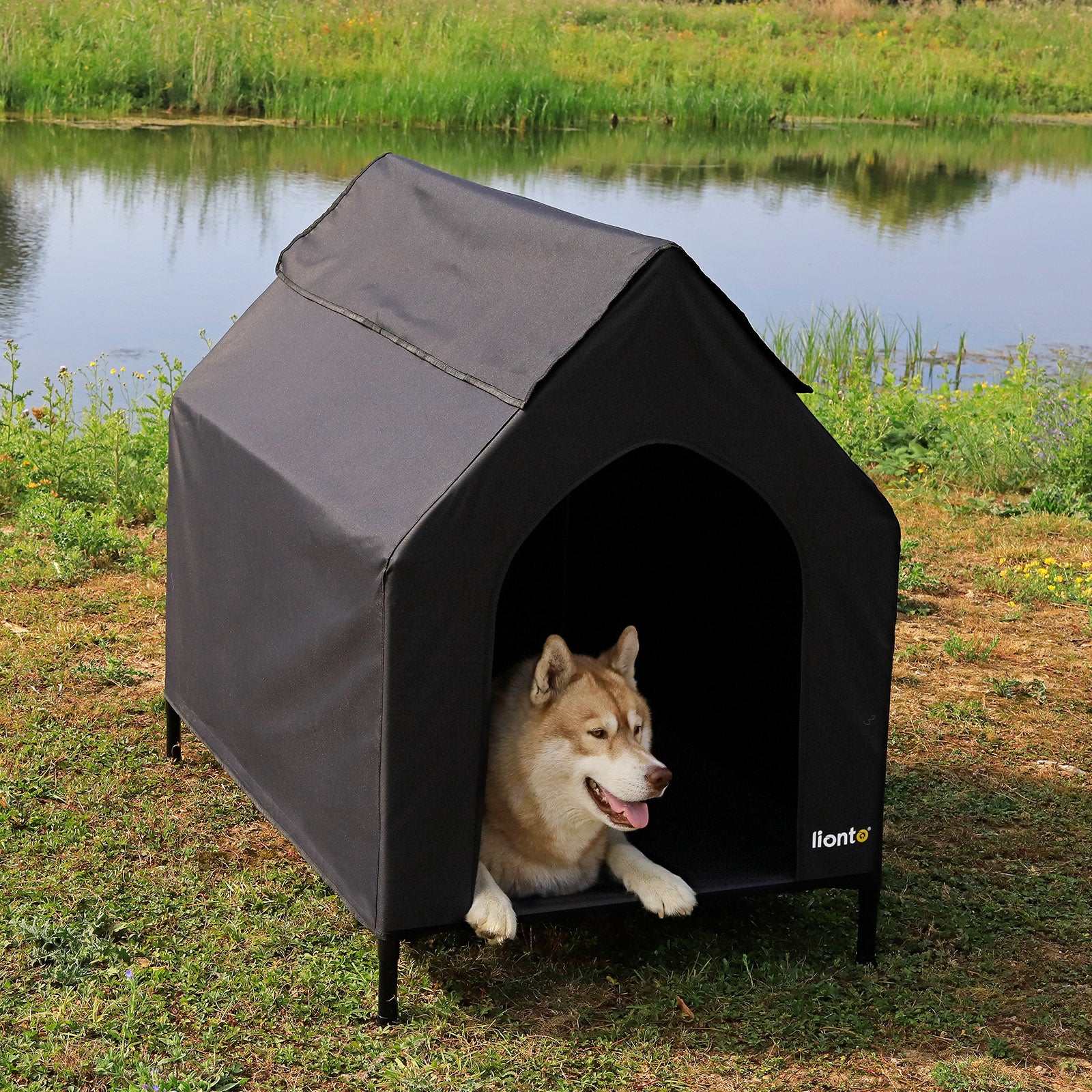 Cama elevada para perros con techo