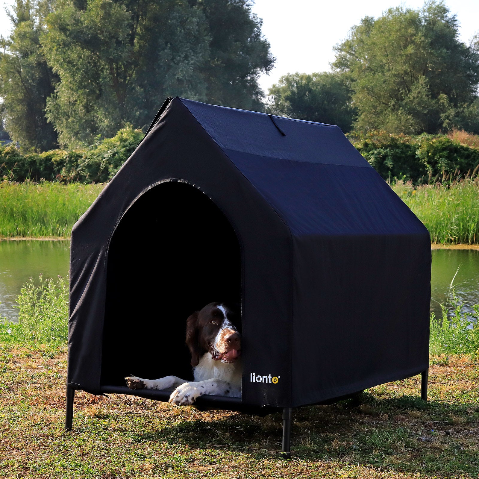 Cama elevada para perros con techo