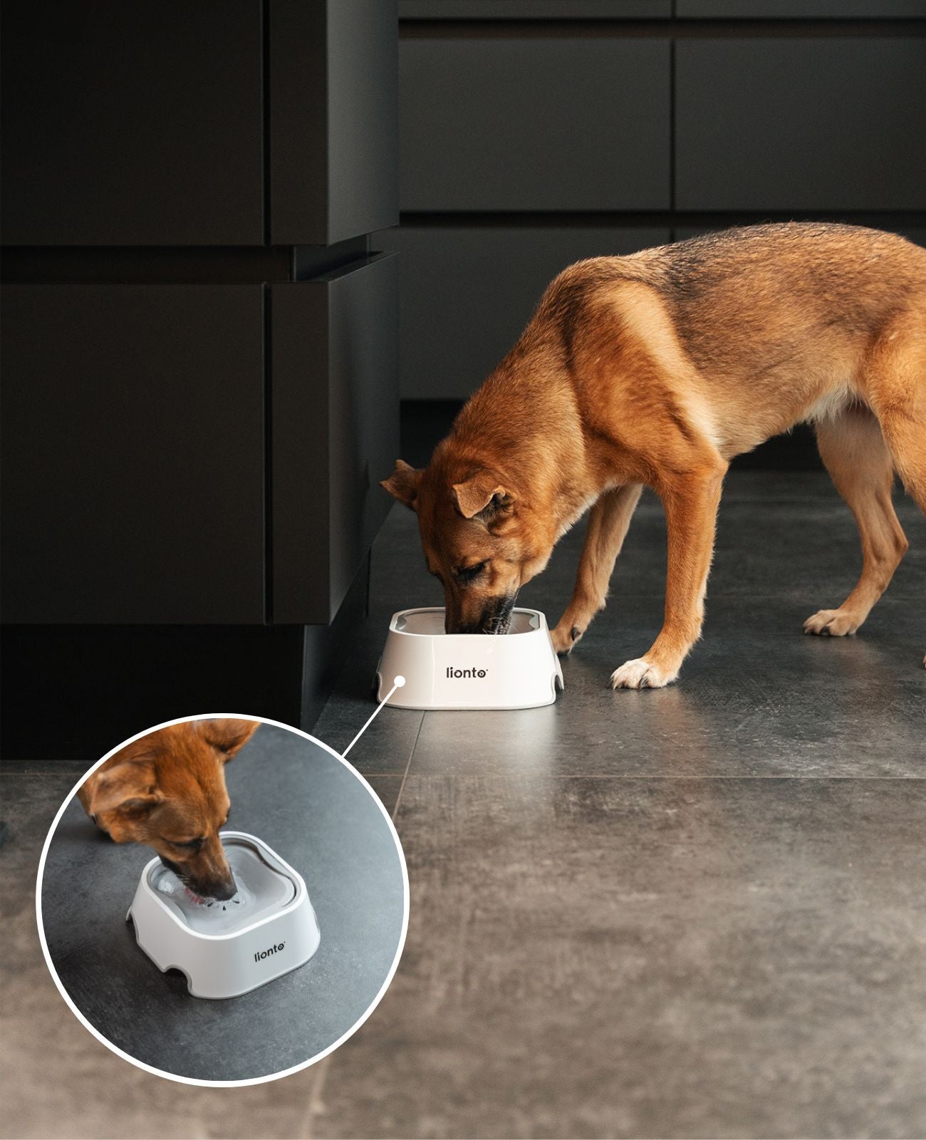 Bebedero Perro a Prueba de Fugas, 1 litro