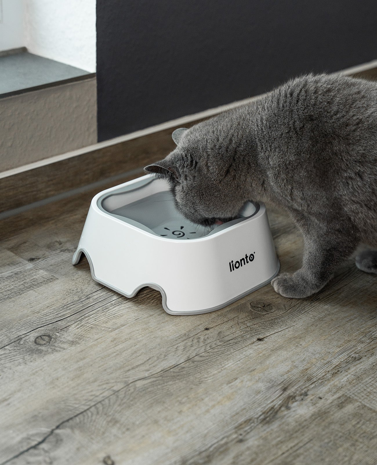 Cuenco antibabas, 1 litro