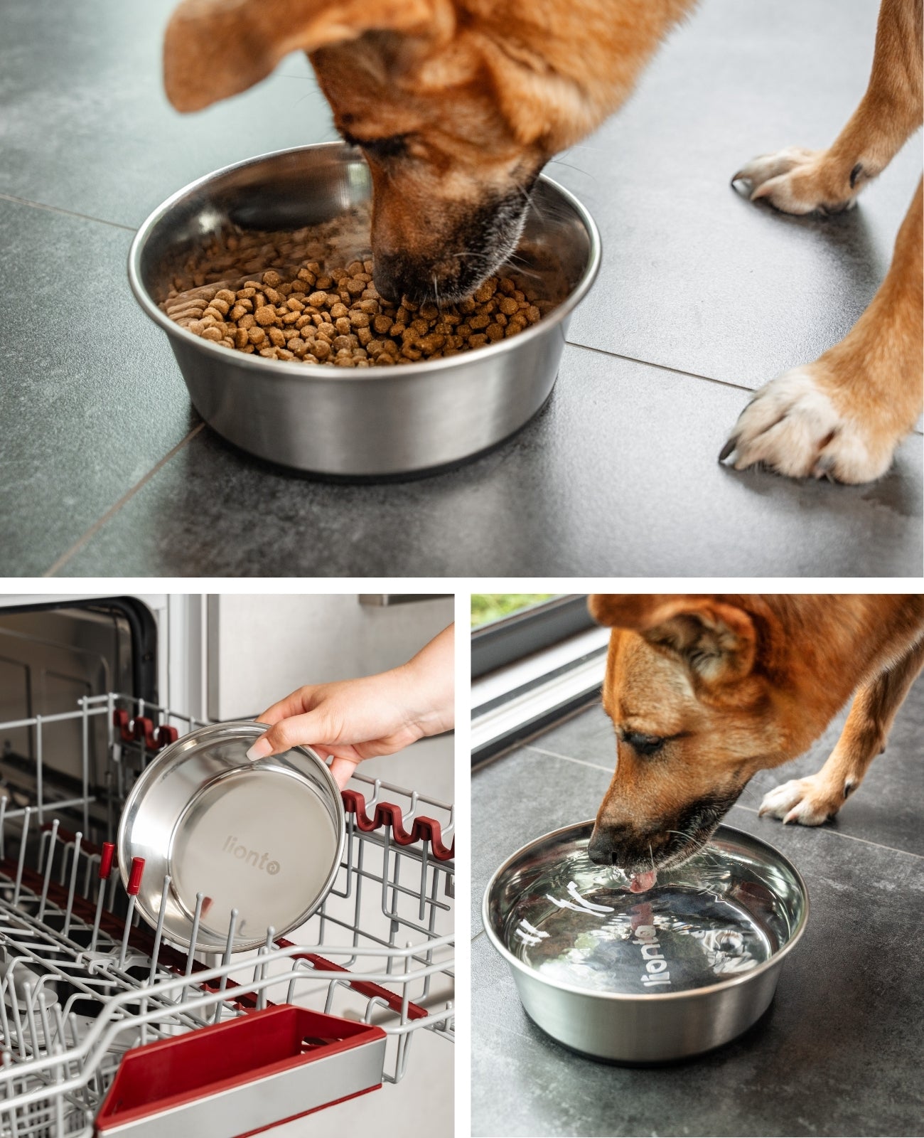 Cuenco para perros antideslizante de acero inoxidable, varios tamaños