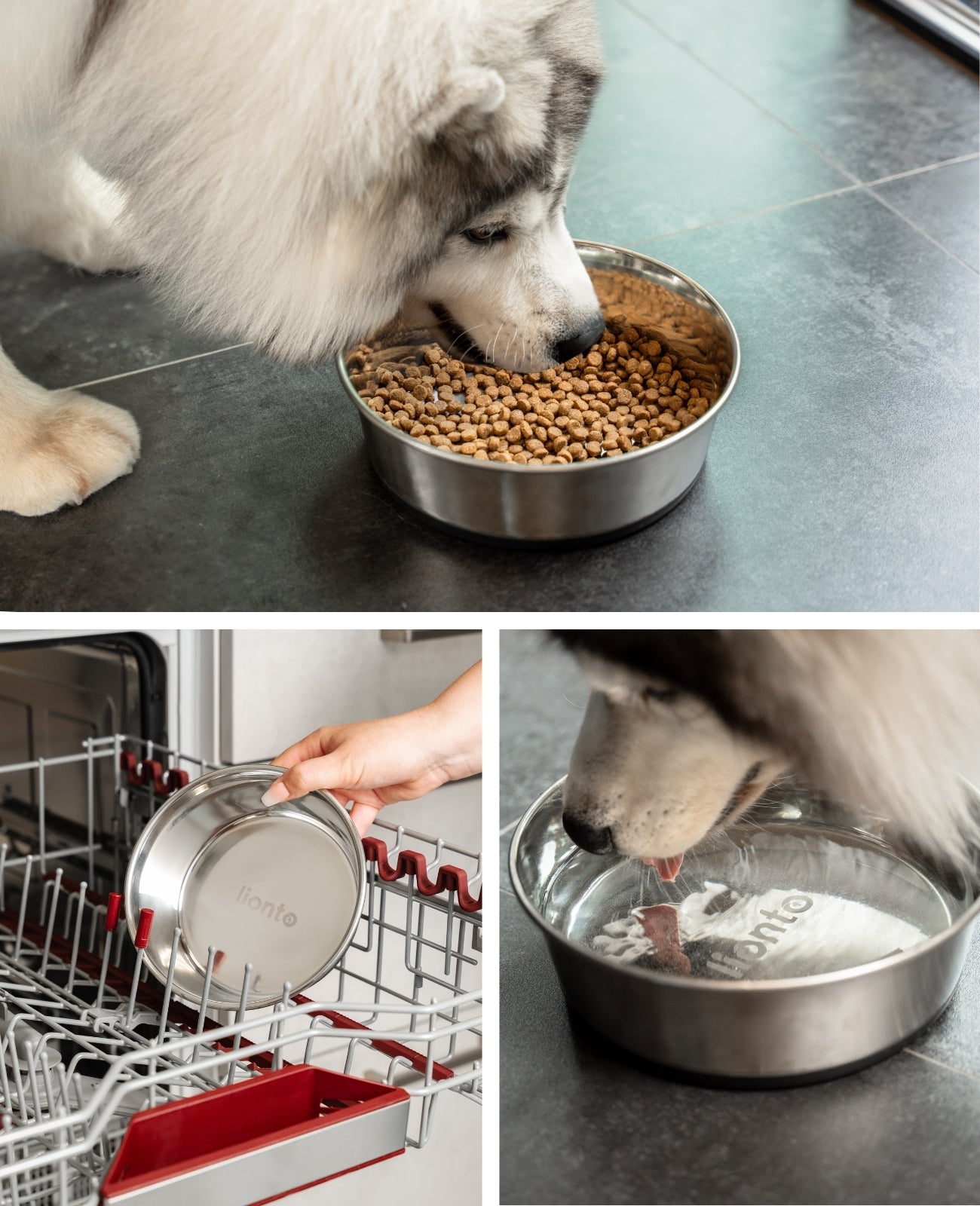 Cuenco para perros antideslizante de acero inoxidable, varios tamaños