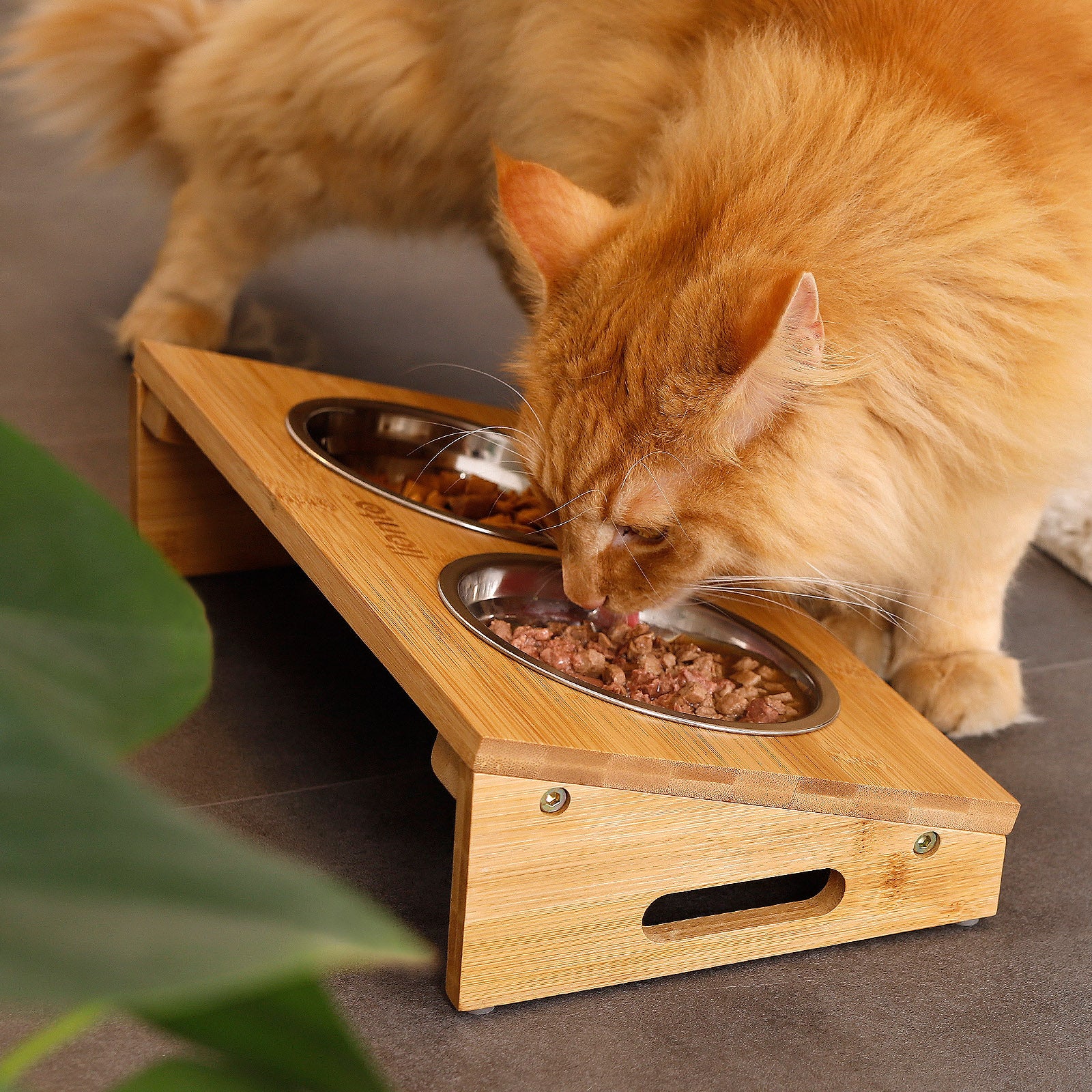 Cuenco elevado para gatos con estructura de bambú