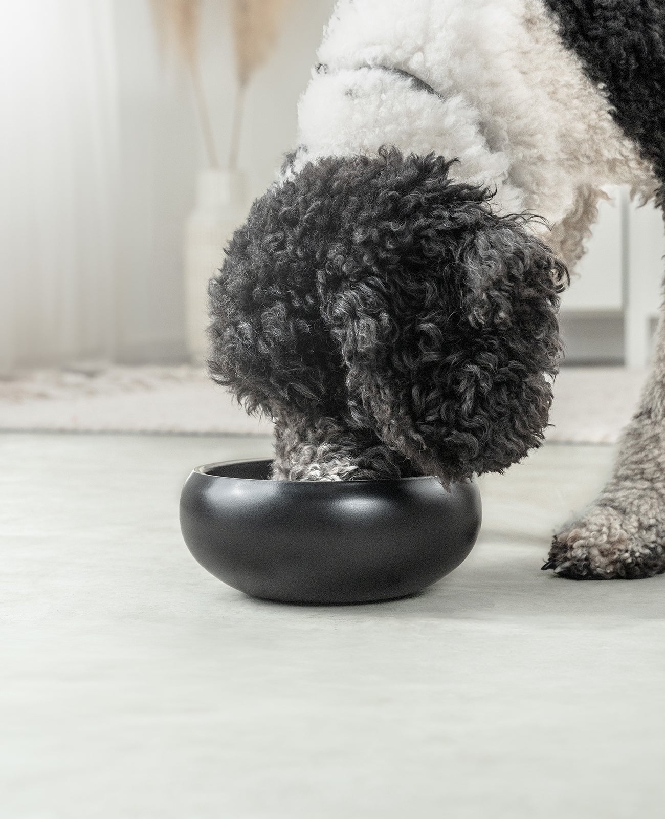 Comedero para perros de acero inoxidable, abovedado, negro