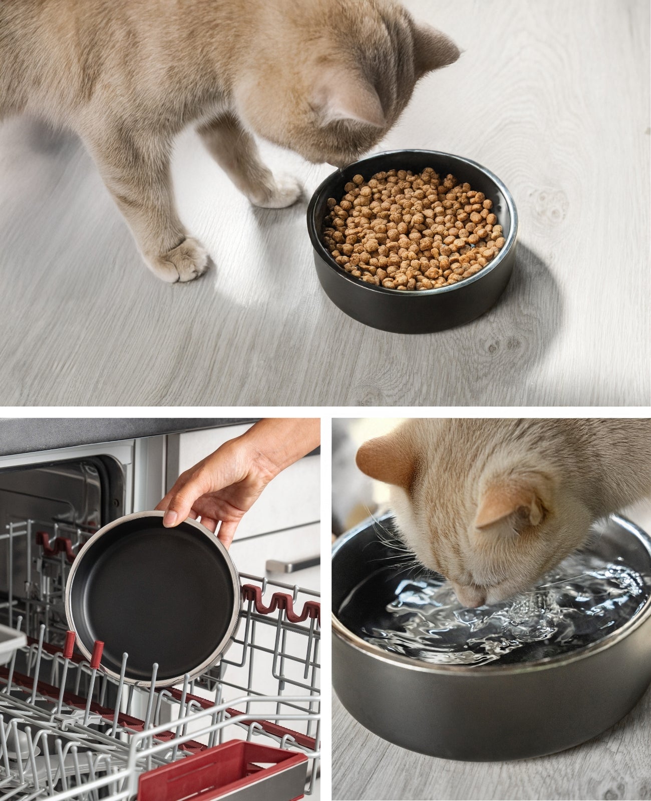 Cuenco de acero inoxidable para gatos