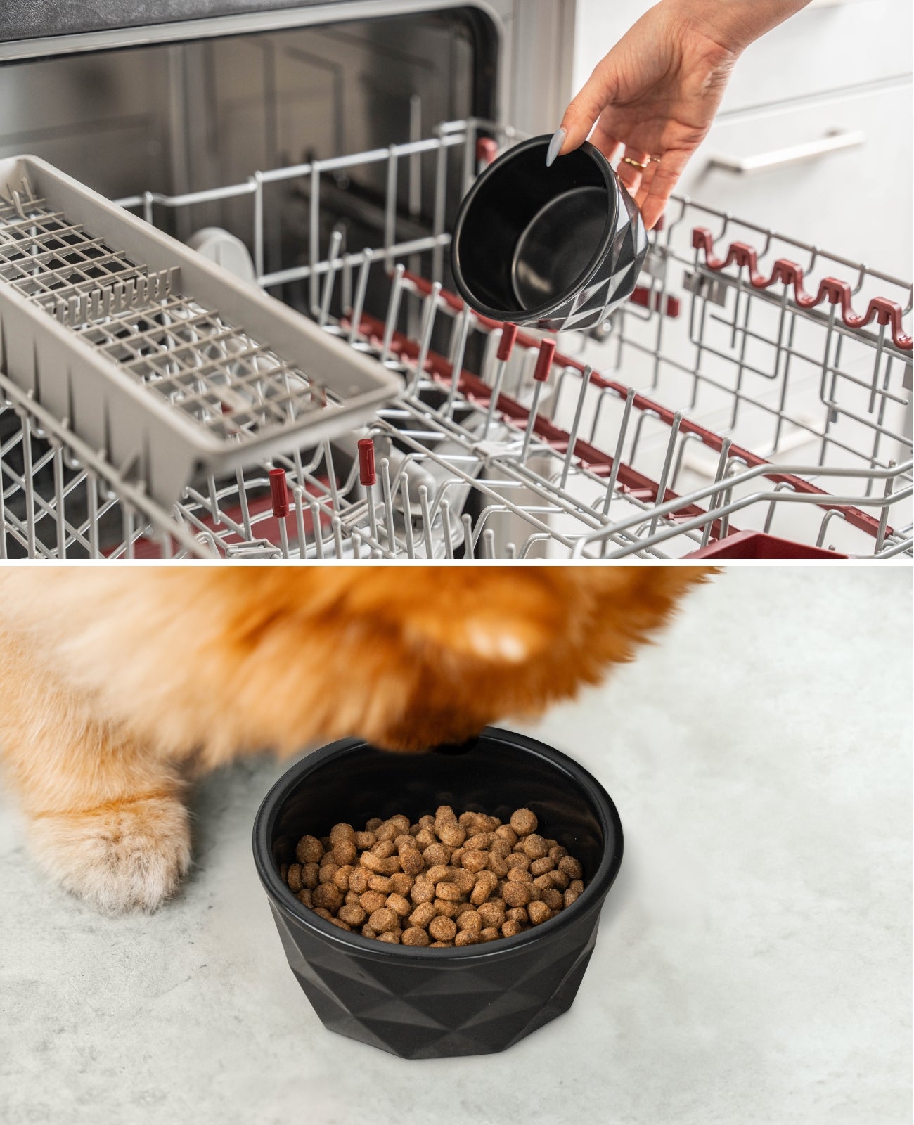 Cuenco de cerámica para perros