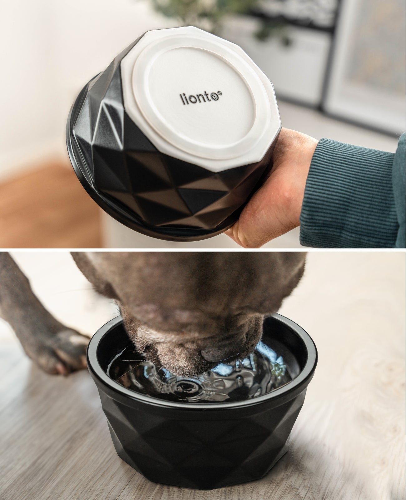 Cuenco de cerámica para perros