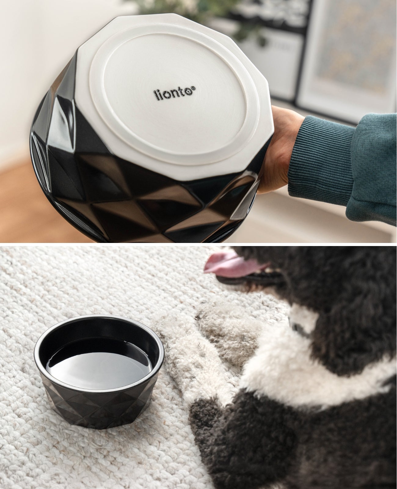 Cuenco de cerámica para perros