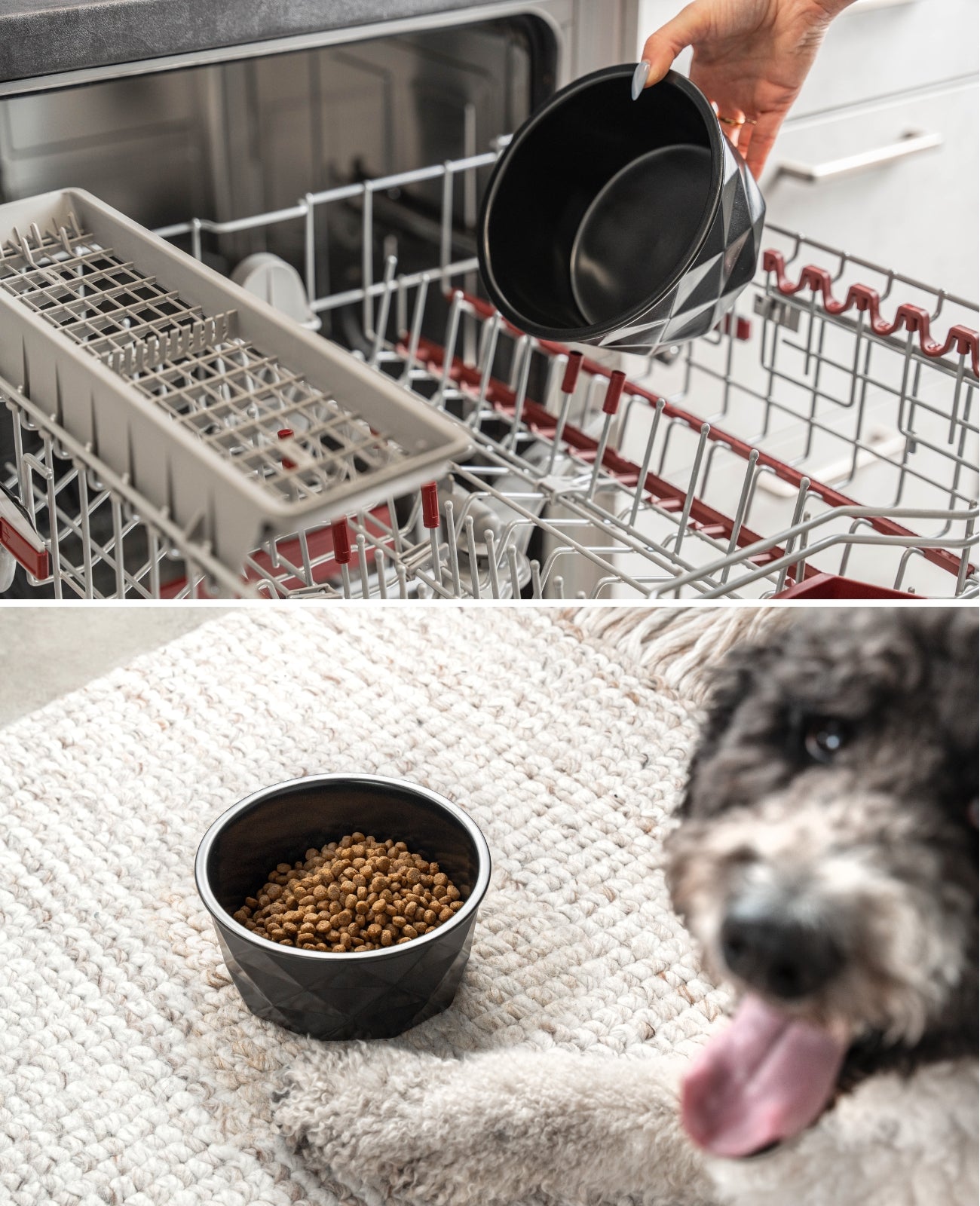 Cuenco de cerámica para perros